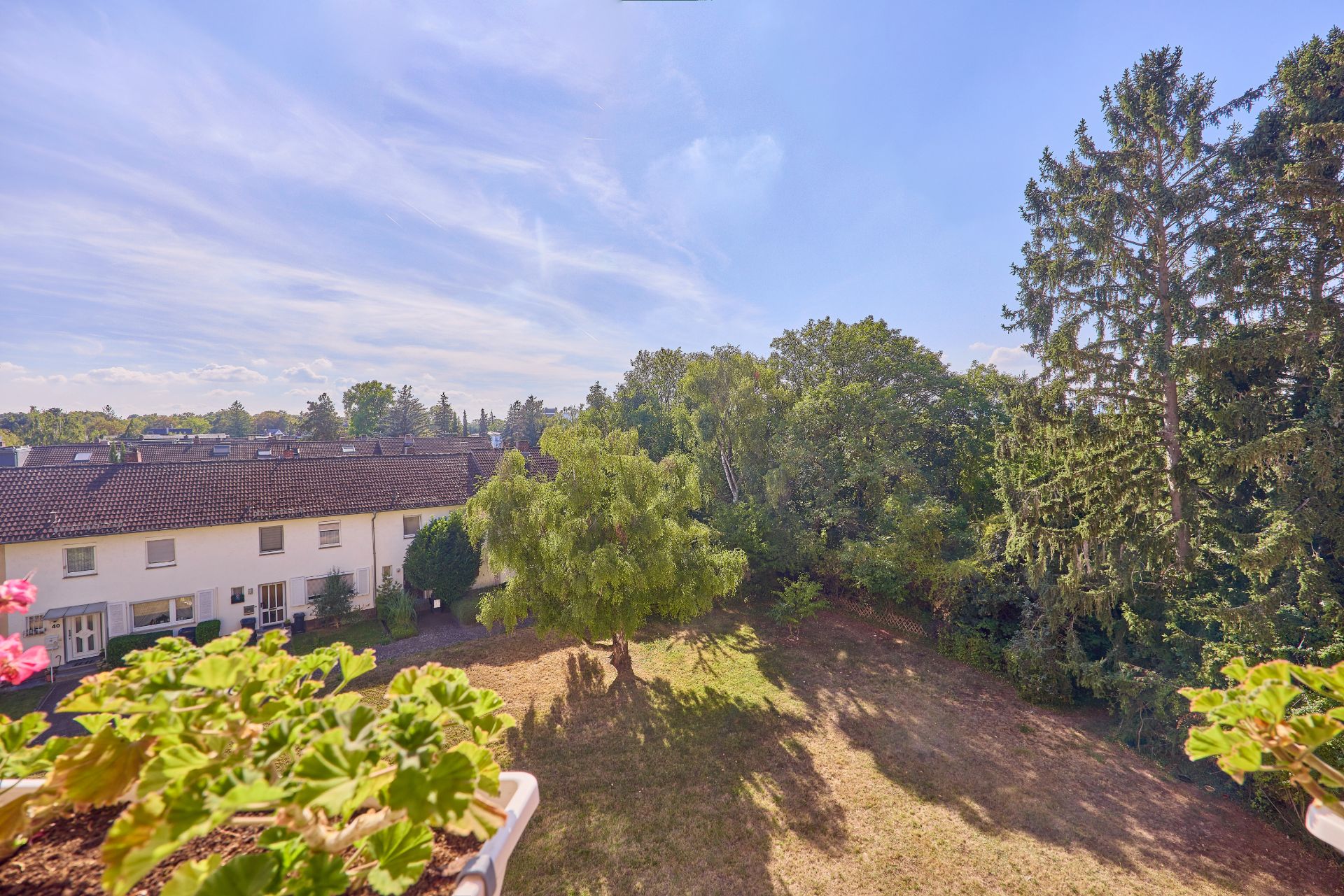 Blick auf einen Garten mit Bäumen, Rasen und Nachbarhäusern bei sonnigem Wetter.