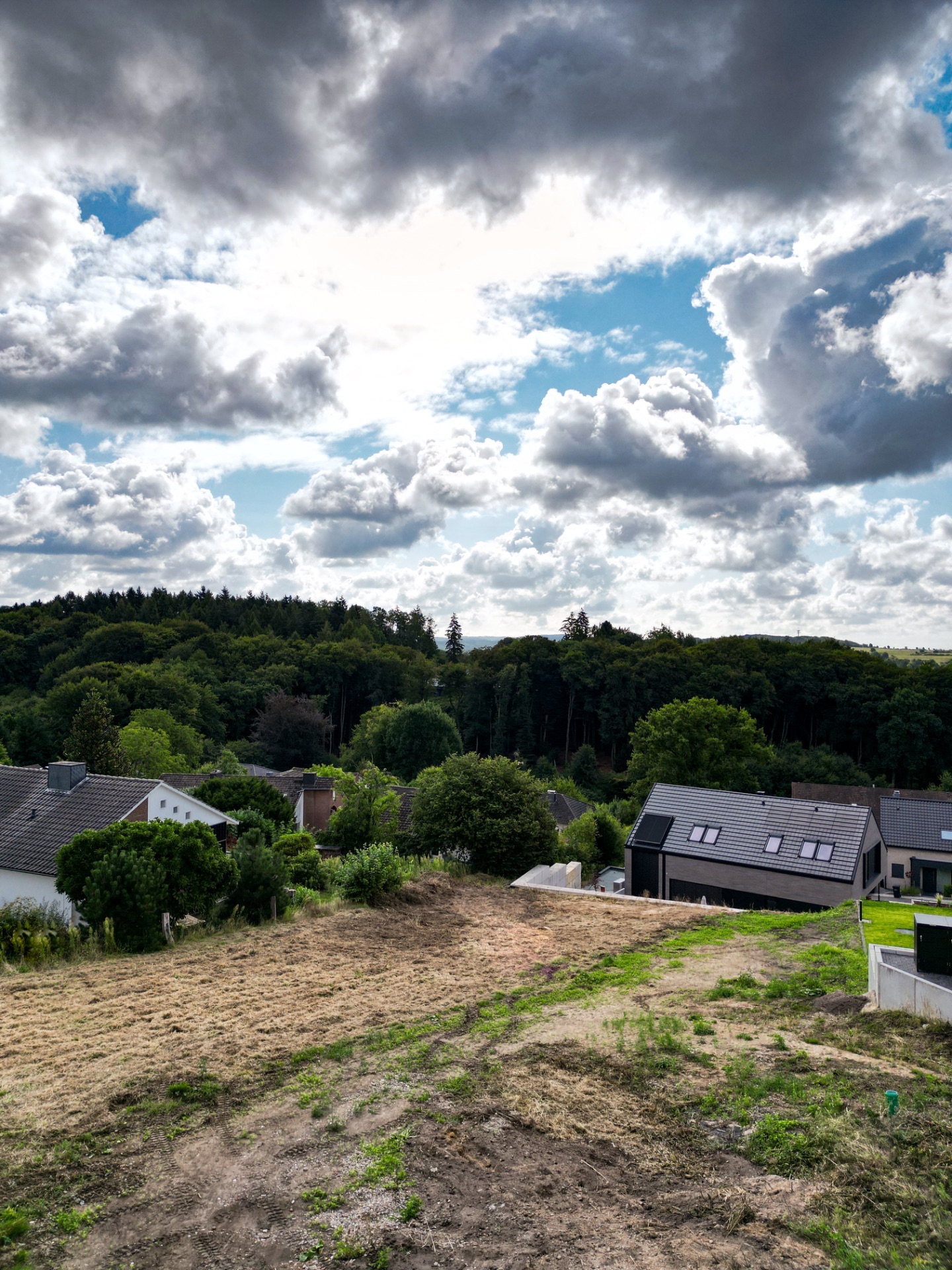 Blick auf ein Wohngebiet mit Häusern, Gärten, Wiese und bewölktem Himmel.