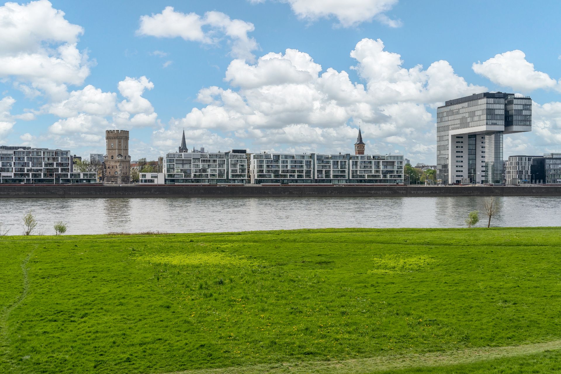 Grüne Wiese am Flussufer mit modernen Wohngebäuden und Türmen im Hintergrund.