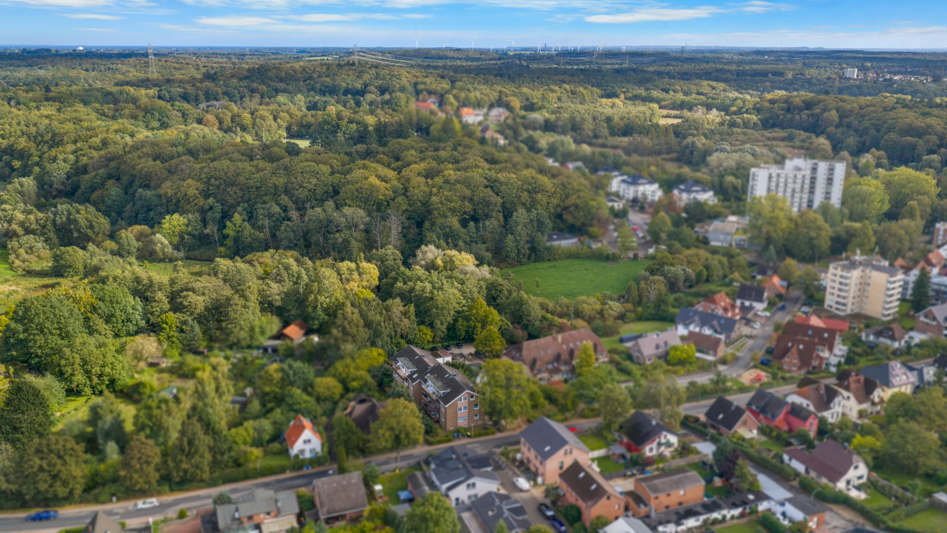 Luftaufnahme von Wohnhäusern am Waldrand mit vielen Bäumen und grünen Flächen.
