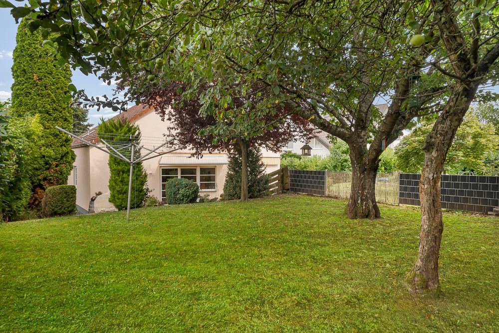 Grüner Garten mit Bäumen, Wäschespinne und Blick auf ein Haus im Hintergrund.