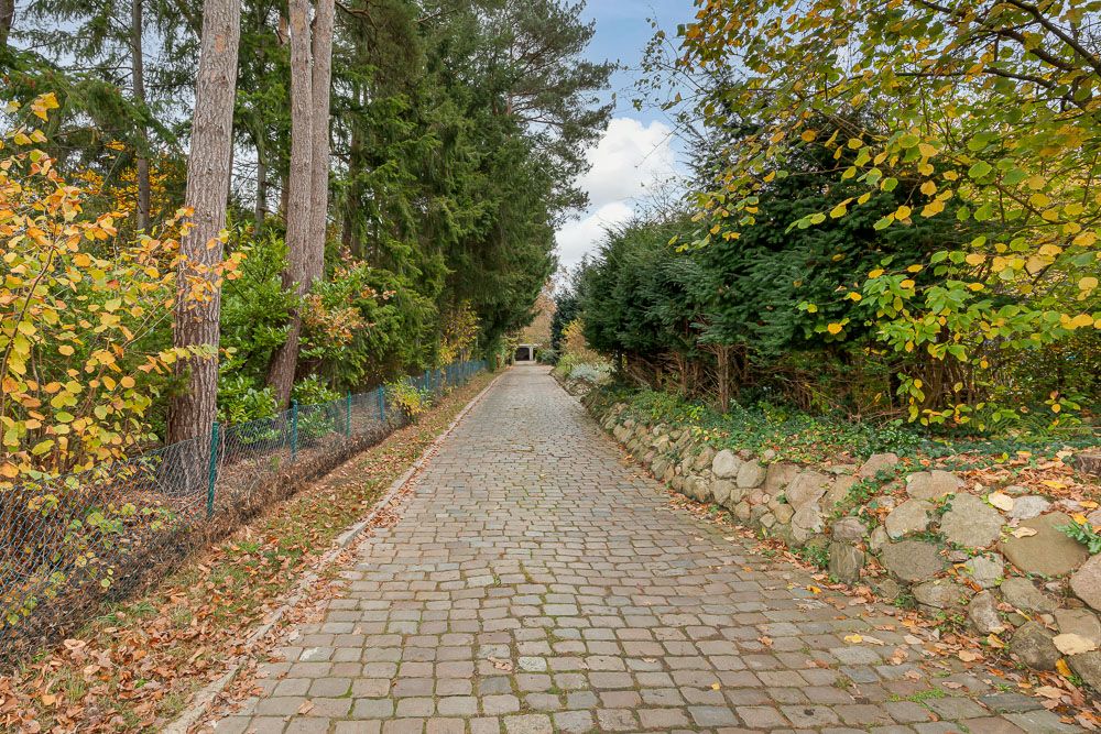 Gepflasterter Weg durch einen Garten mit Bäumen und Steinmauer an den Seiten.