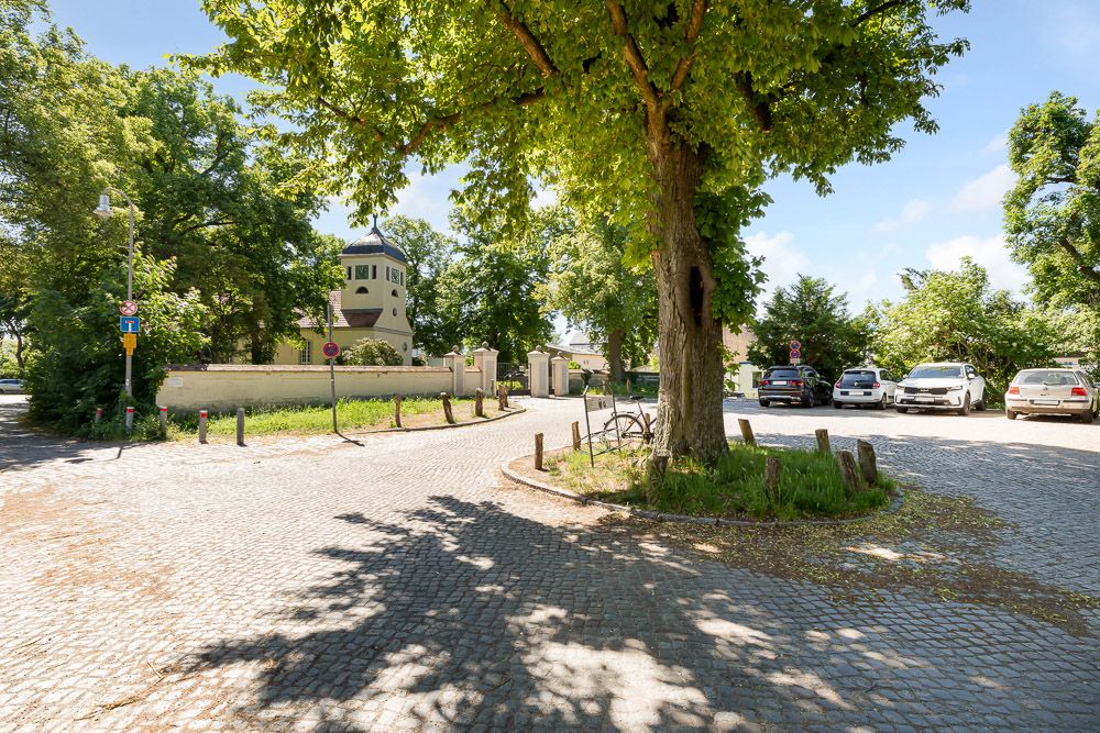 Baum auf Kopfsteinpflasterplatz mit geparkten Autos und einem Haus im Hintergrund.