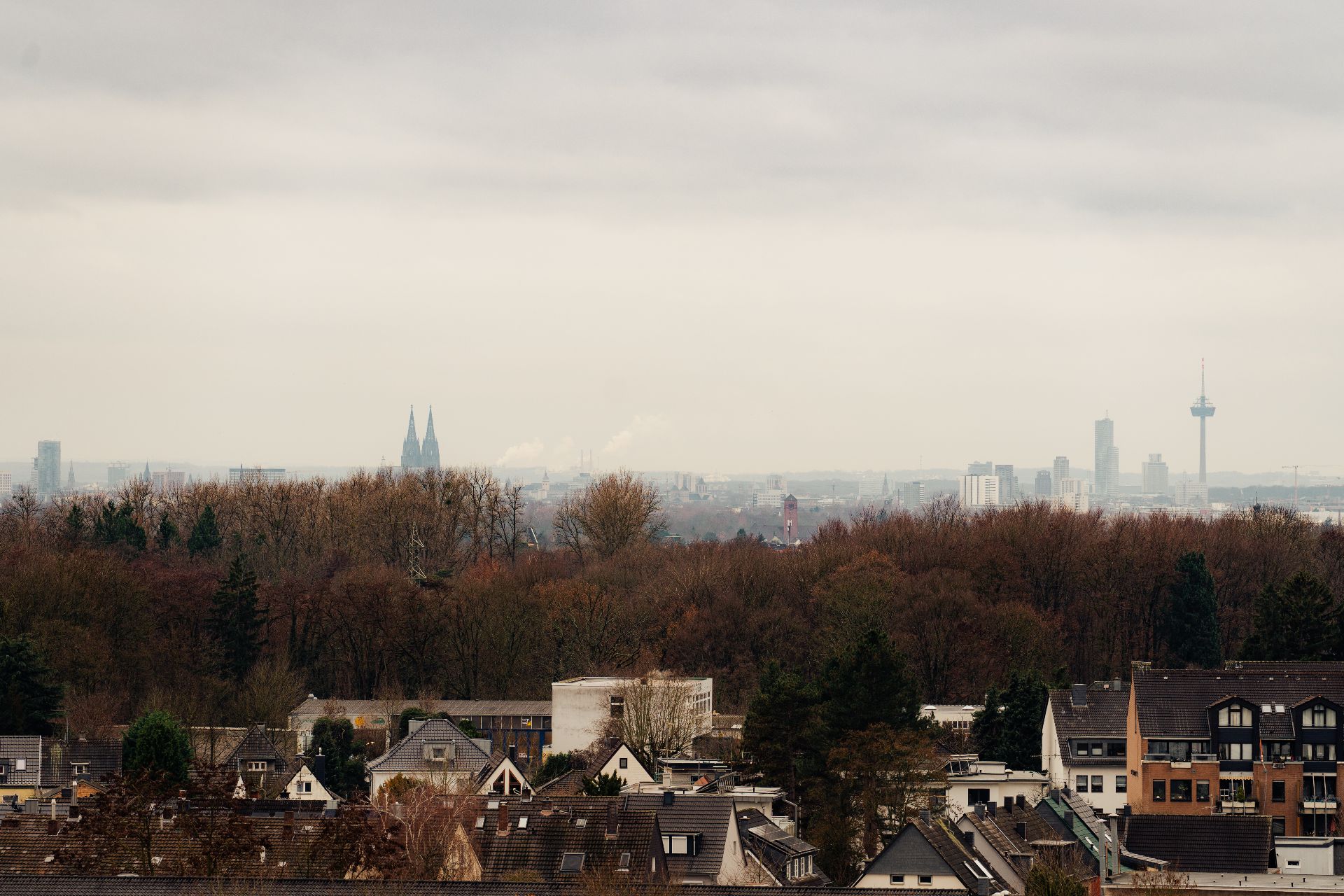 Blick über Wohnhäuser, Bäume und eine entfernte Stadtsilhouette unter bewölktem Himmel.