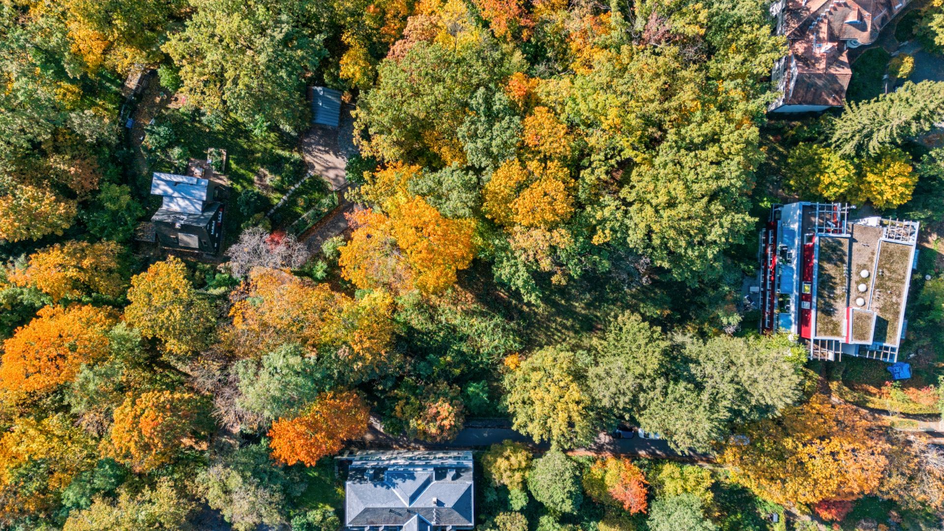 Luftaufnahme von Häusern zwischen vielen herbstlich gefärbten Bäumen.