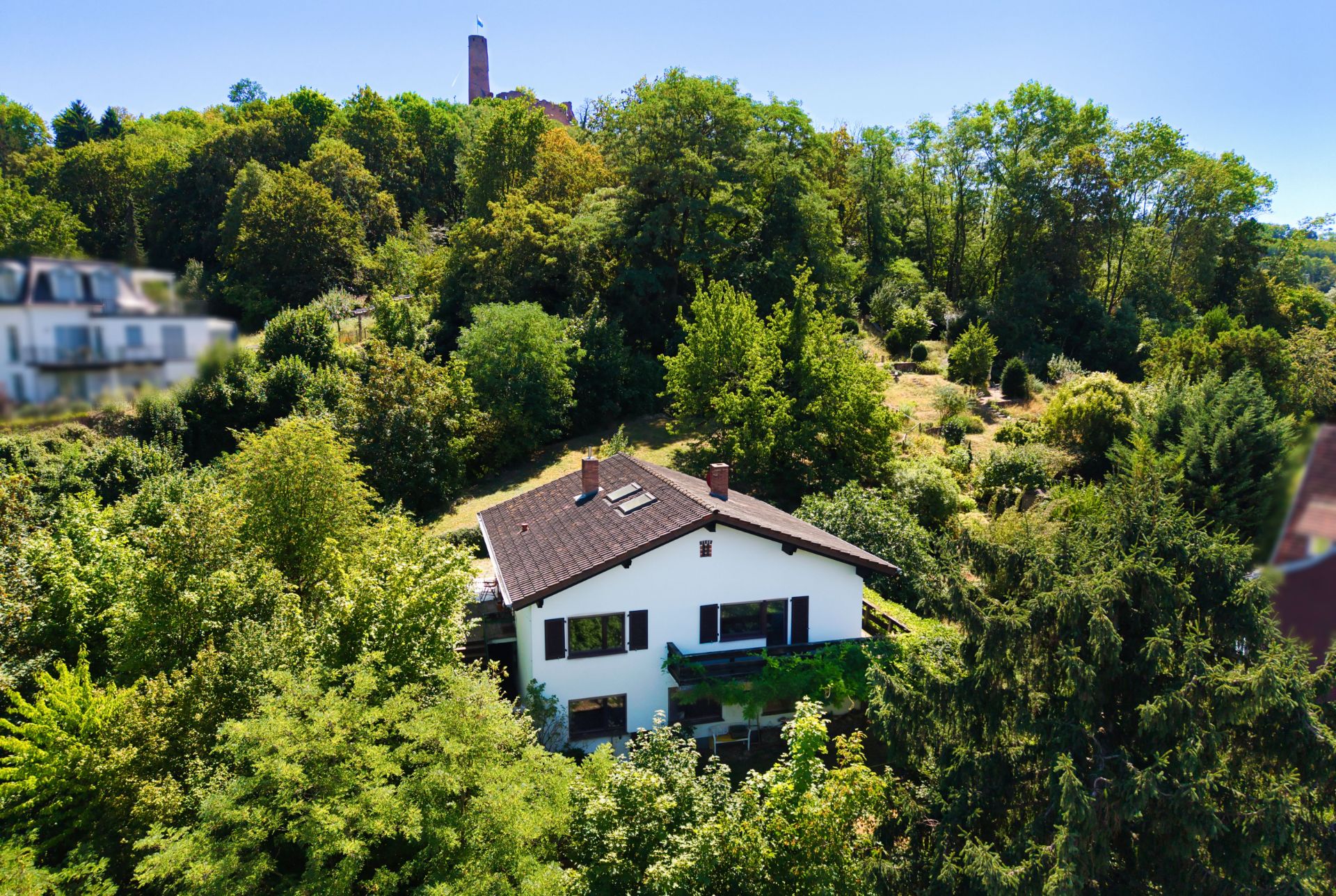 Burgblick