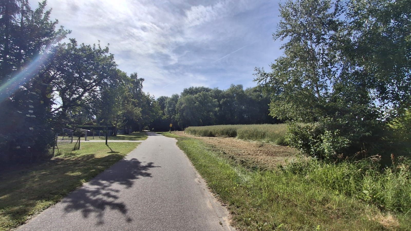 Asphaltierter Weg mit Bäumen und Wiese an einem sonnigen Tag.