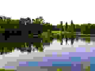 Der See im Bayenthalpark Köln, Quelle: Pixelio