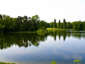 Der See im Bayenthalpark Köln, Quelle: Pixelio 