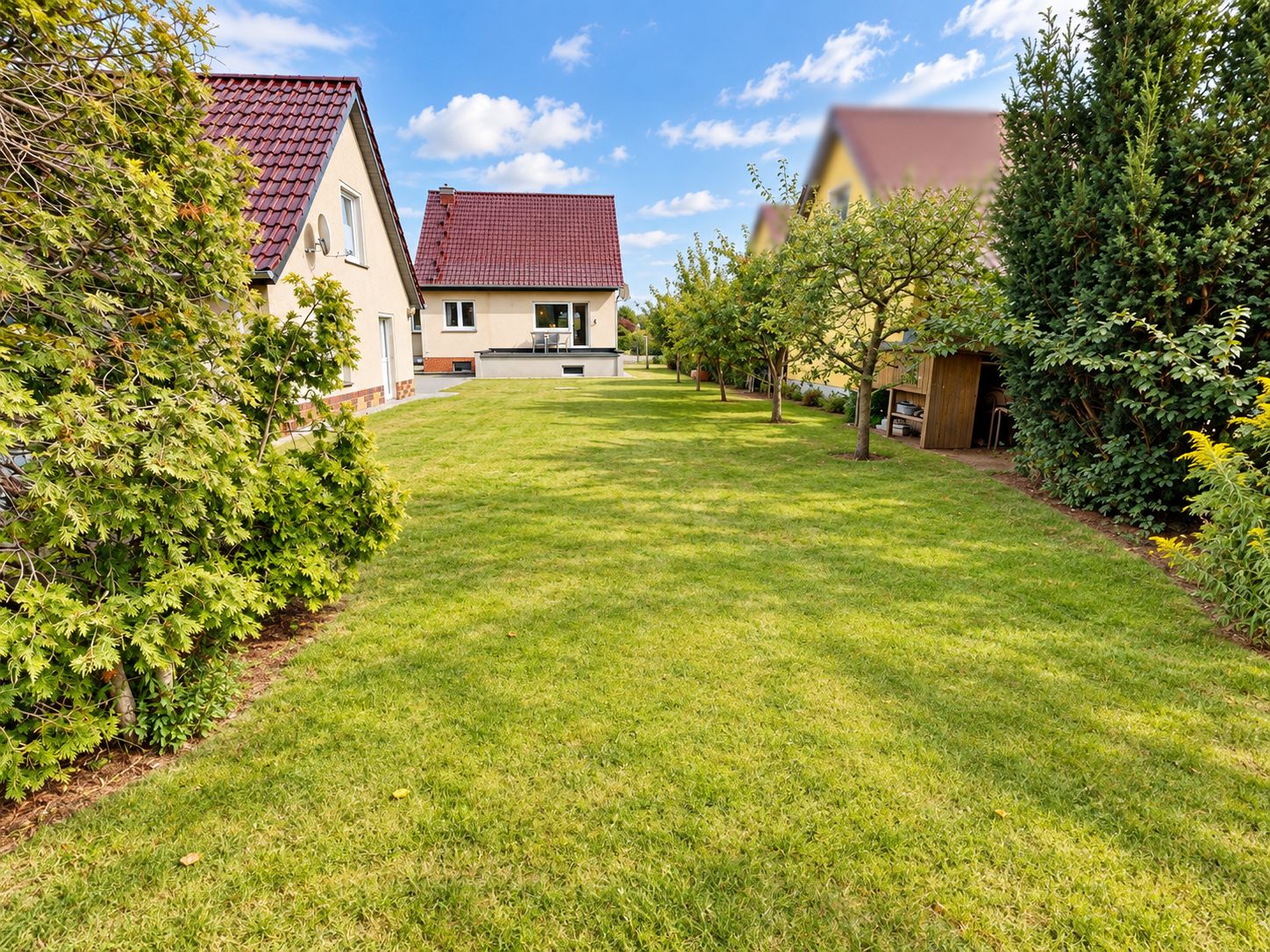 Großer grüner Garten mit Bäumen und einem Haus im Hintergrund bei Sonnenschein.