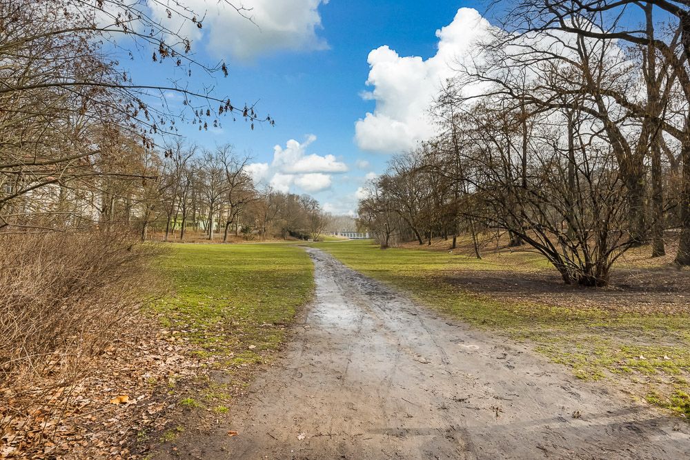 Breiter Weg durch einen Park mit kahlen Bäumen und grüner Wiese unter blauem Himmel.