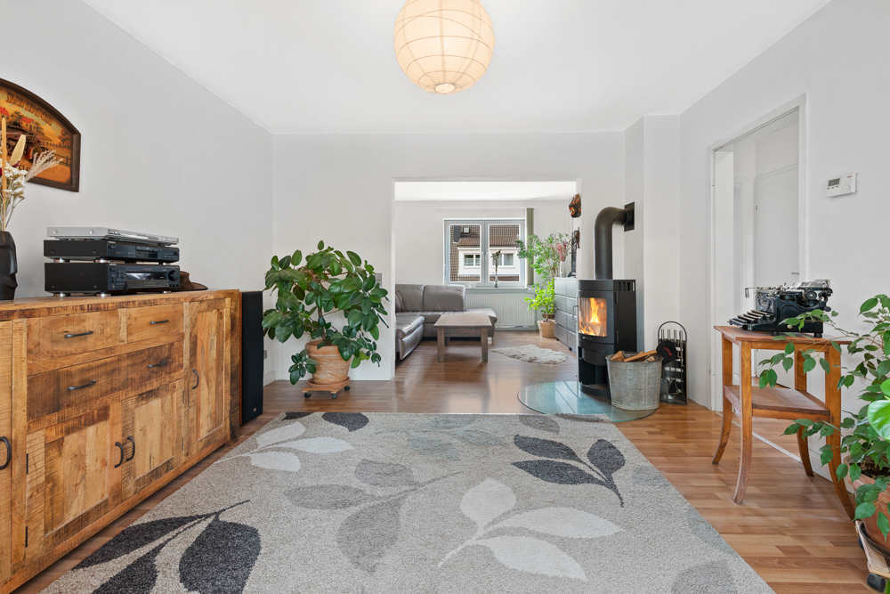 Wohnzimmer mit Holzkommode, Teppich, Kaminofen, Pflanzen und Sofa im Hintergrund.