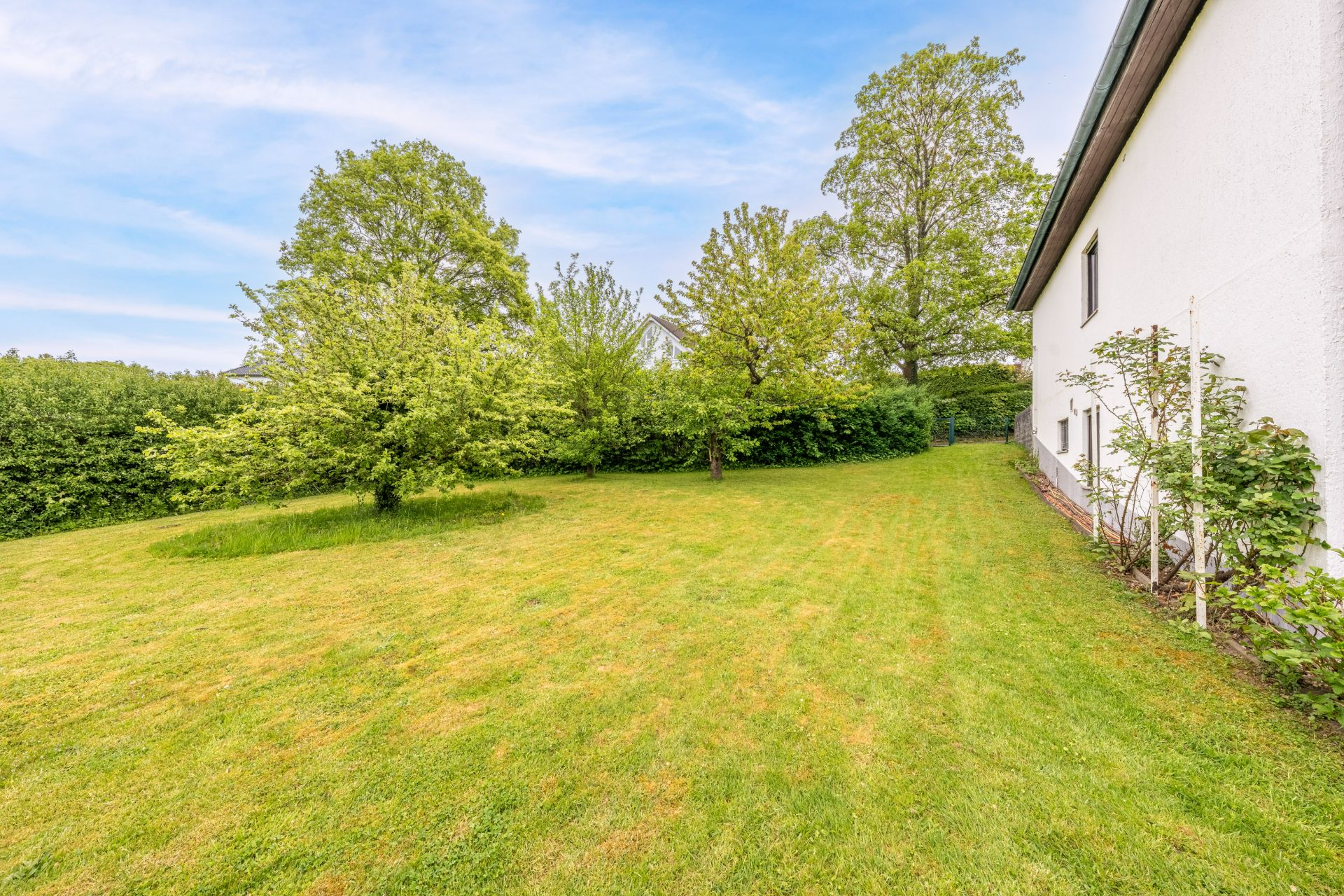 Großer Garten mit Rasen, Bäumen und einem weißen Haus am rechten Bildrand.