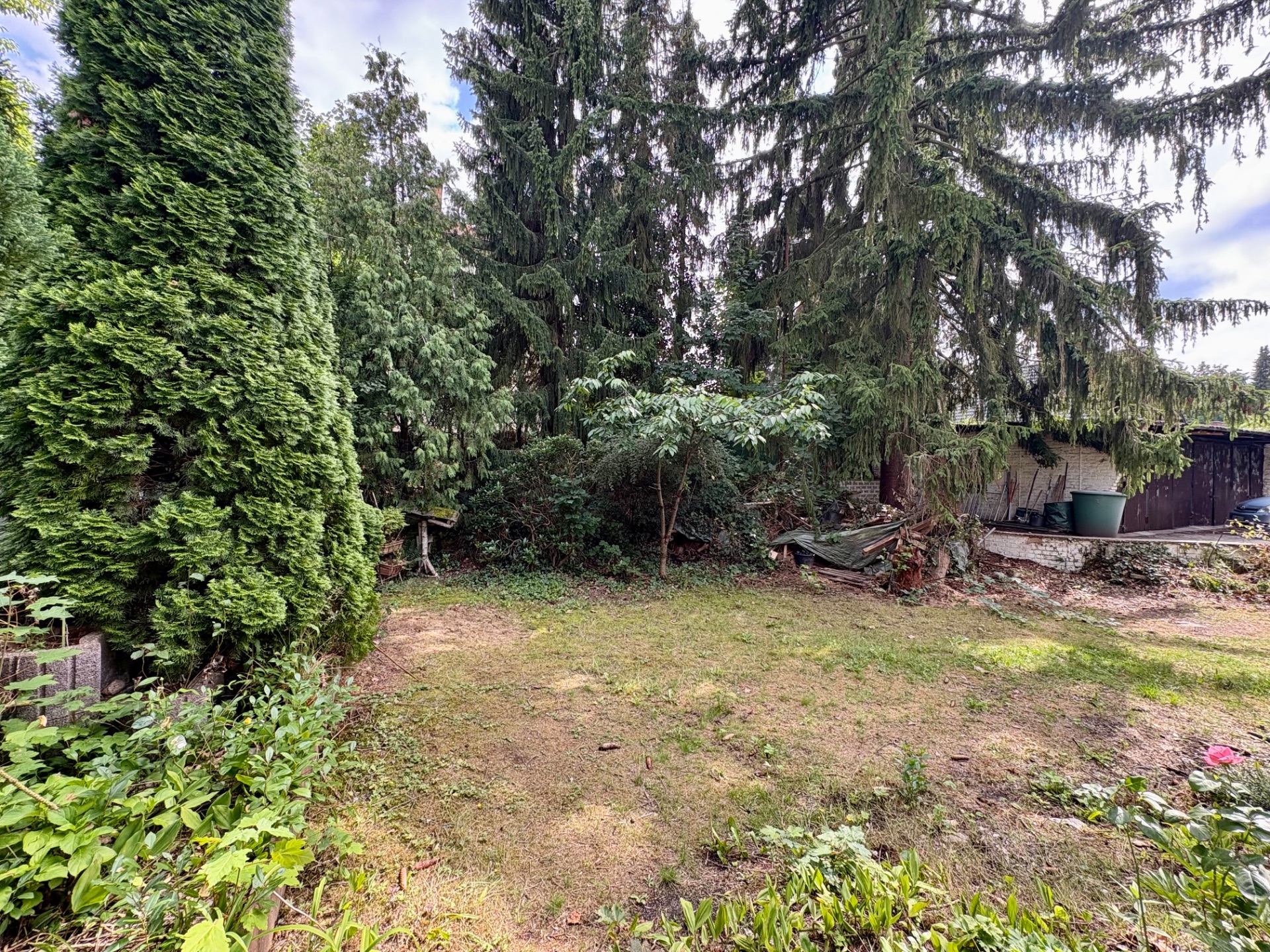 Garten mit Rasenfläche, hohen Tannen und Sträuchern, im Hintergrund ein kleiner Schuppen.