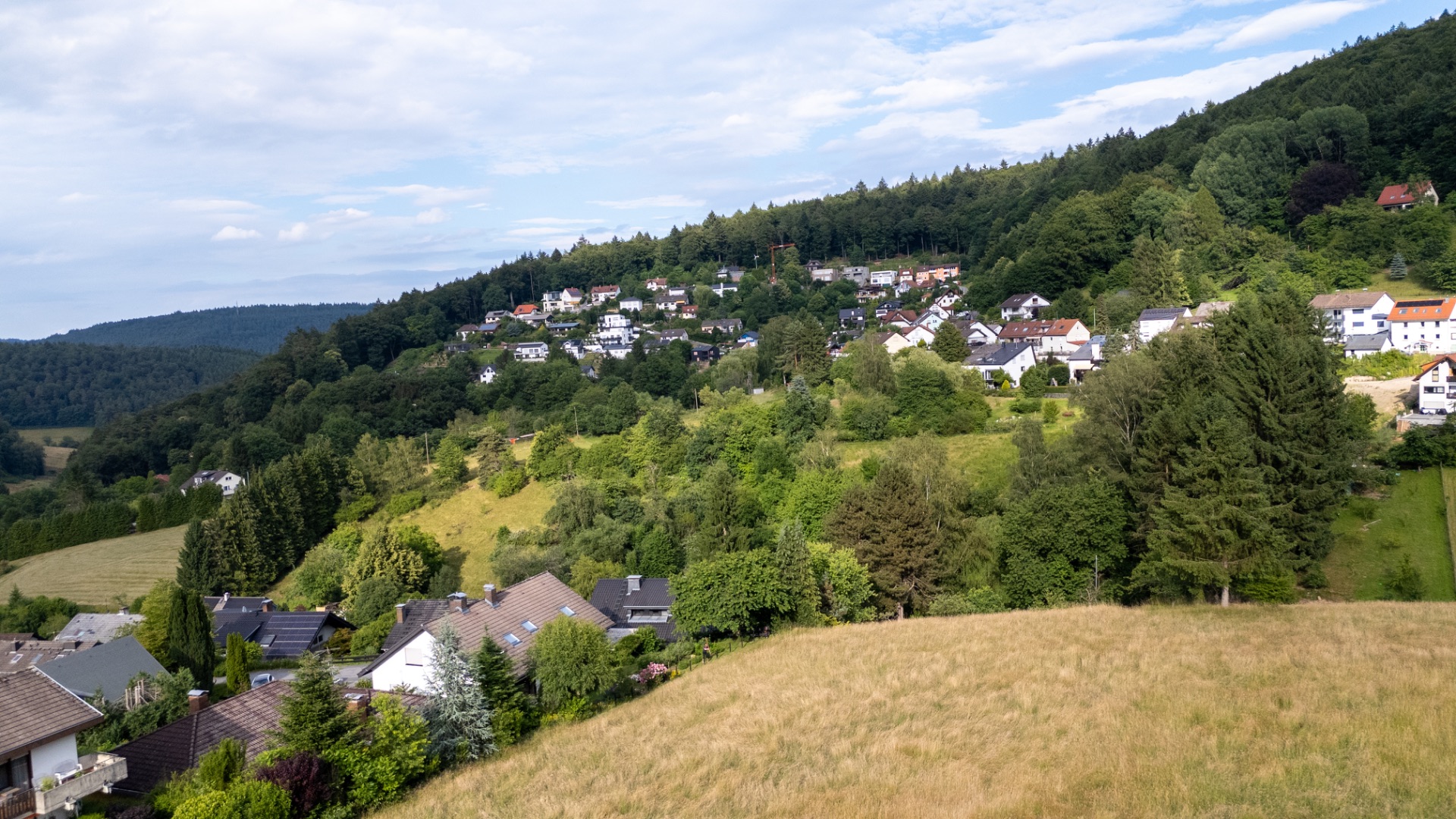 Wohnhäuser auf einem grünen Hügel mit Wiesen, Bäumen und bewaldeten Hängen im Hintergrund.