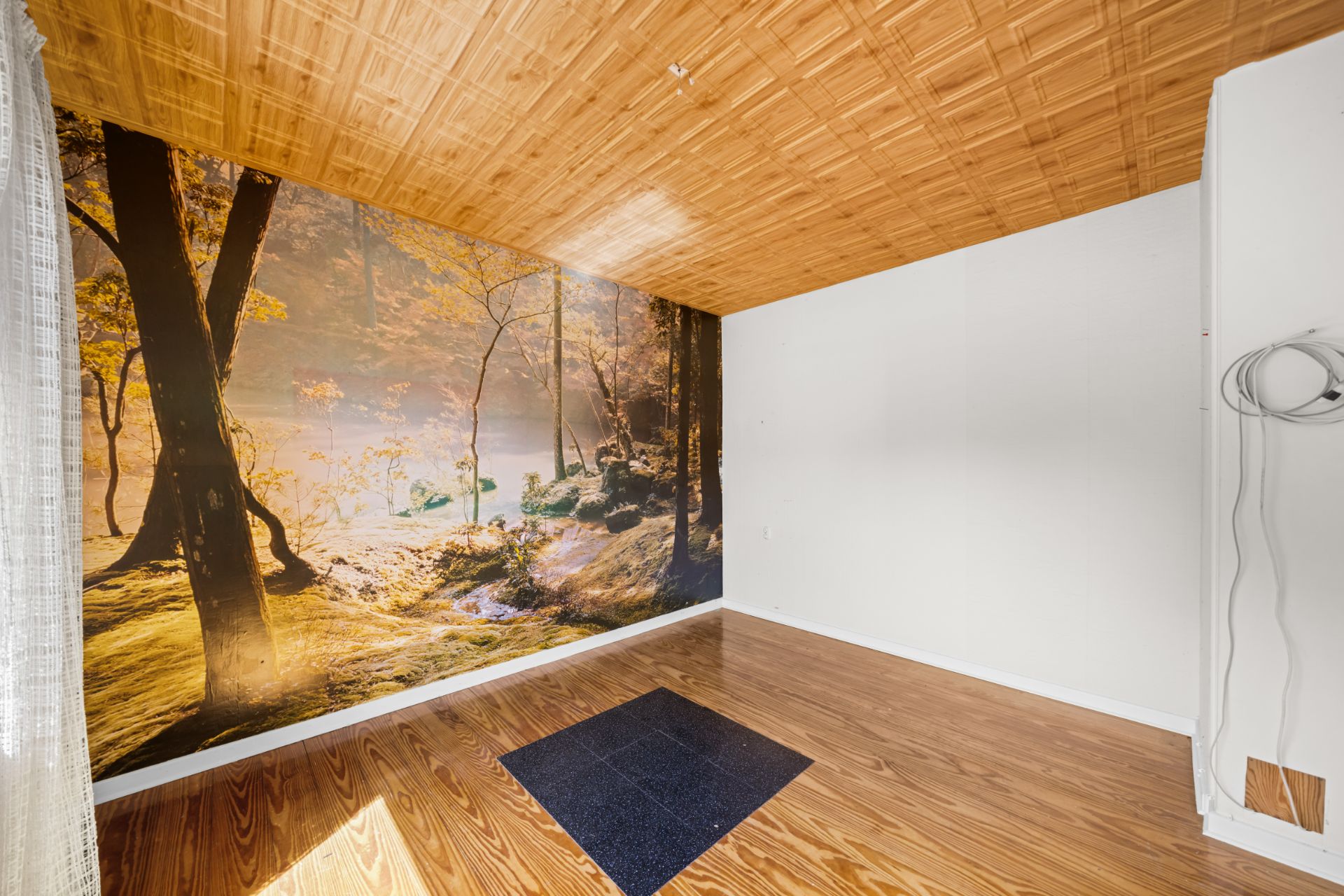 Leerer Raum mit Holzdecke und Wandbild eines Waldes, Holzfußboden mit dunklem Quadrat in der Mitte.