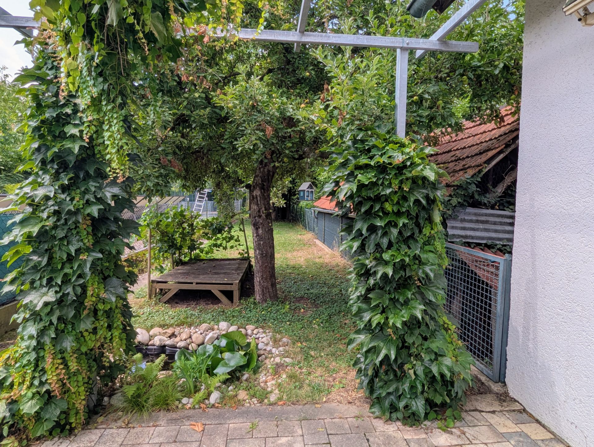 Garten mit Kletterpflanzen an Pergola, Baum, Holzpodest und kleinem Teich.