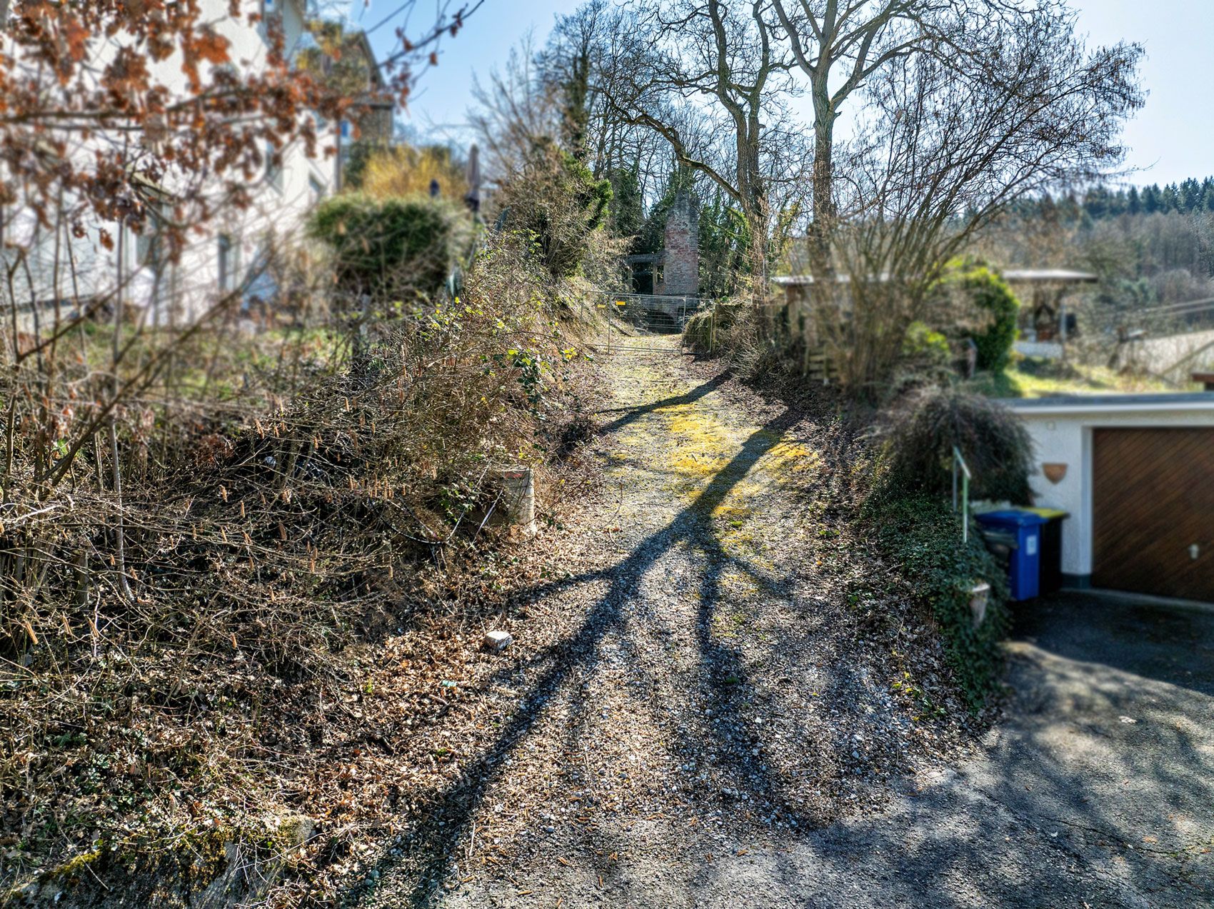 Schotterweg mit Bäumen und Sträuchern, rechts ein Garagentor und Mülltonnen.