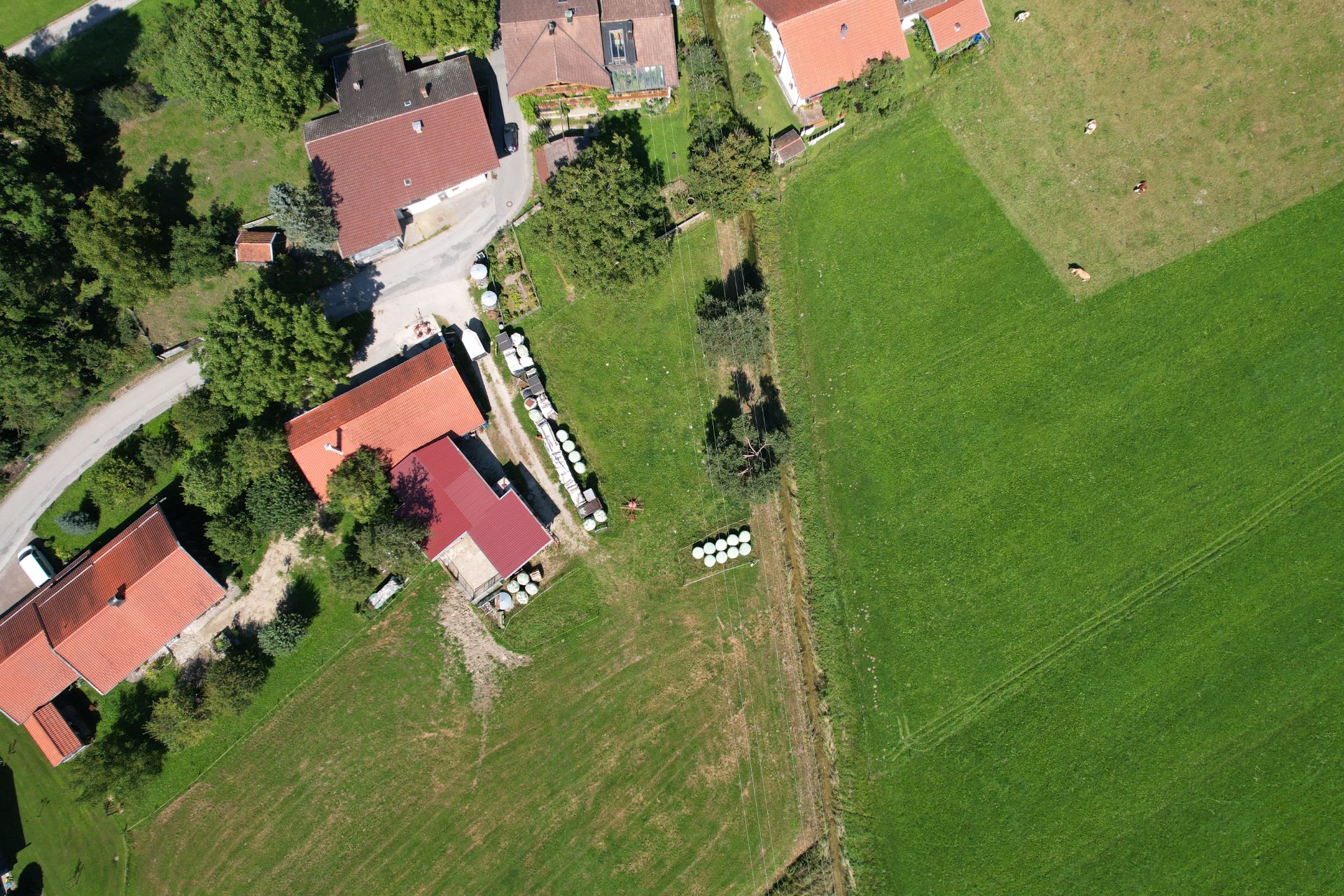 Luftaufnahme von Wohnhäusern mit roten Dächern und angrenzenden grünen Feldern.
