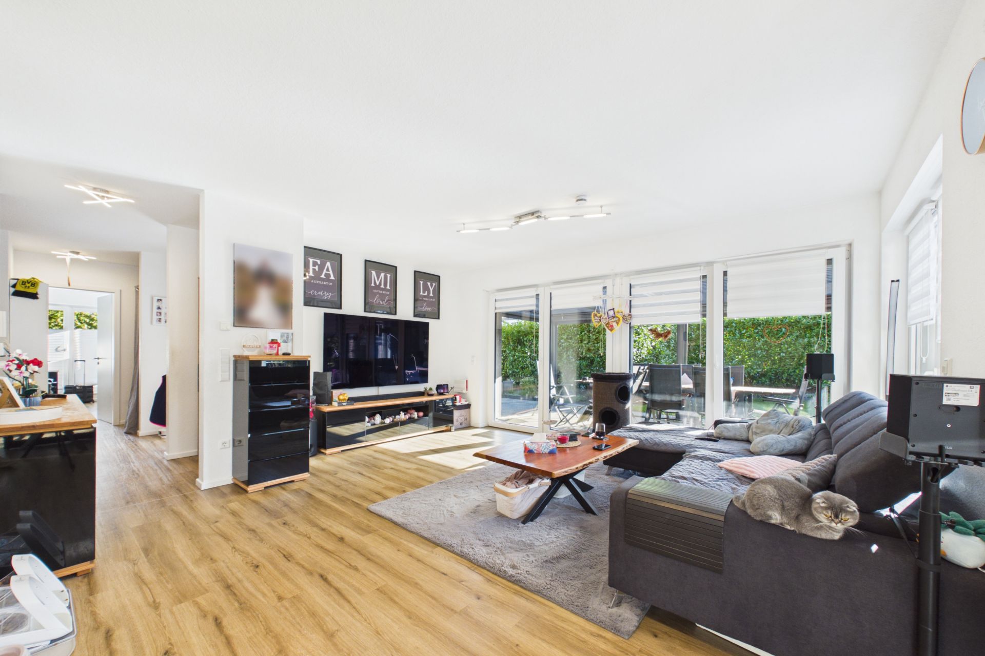 Helles Wohnzimmer mit großer Fensterfront, Sofa, Couchtisch und Holzfußboden, Katze auf dem Sofa.