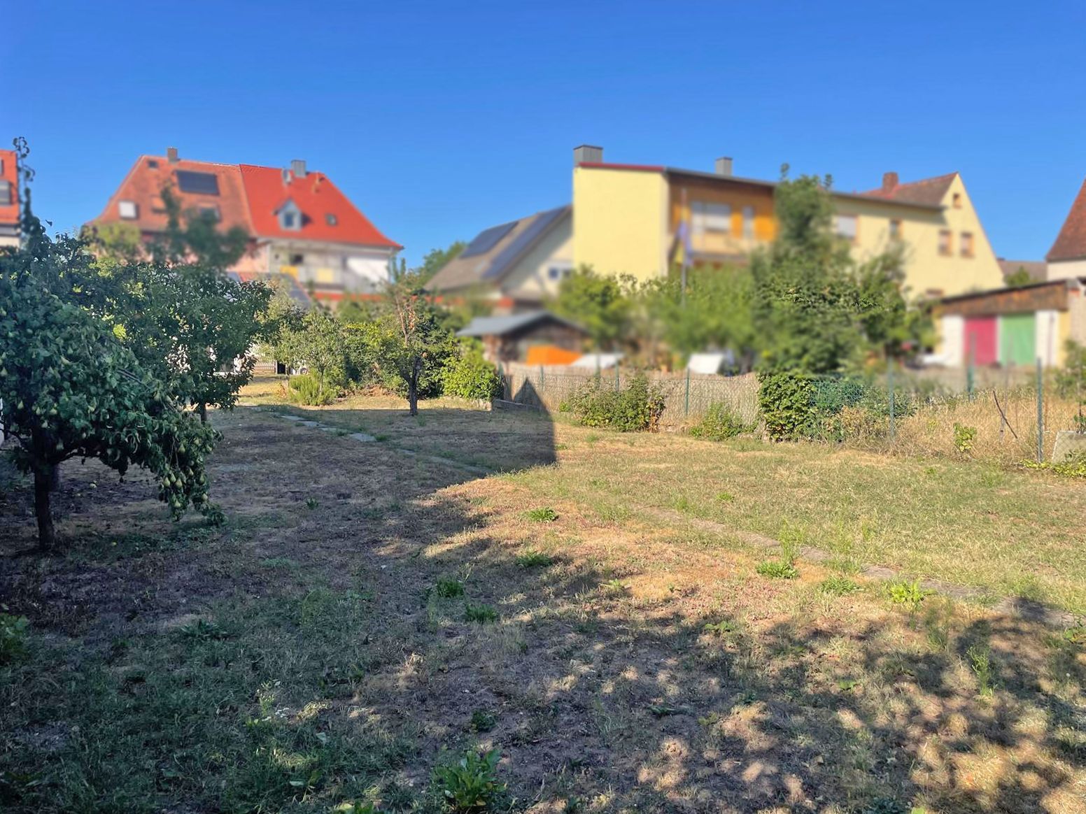 Grüner Garten mit einigen Bäumen, umgeben von Wohnhäusern bei klarem Himmel.
