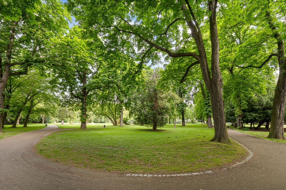 Grüner Park mit hohen Bäumen und Wegen, die sich im Kreis verlaufen.