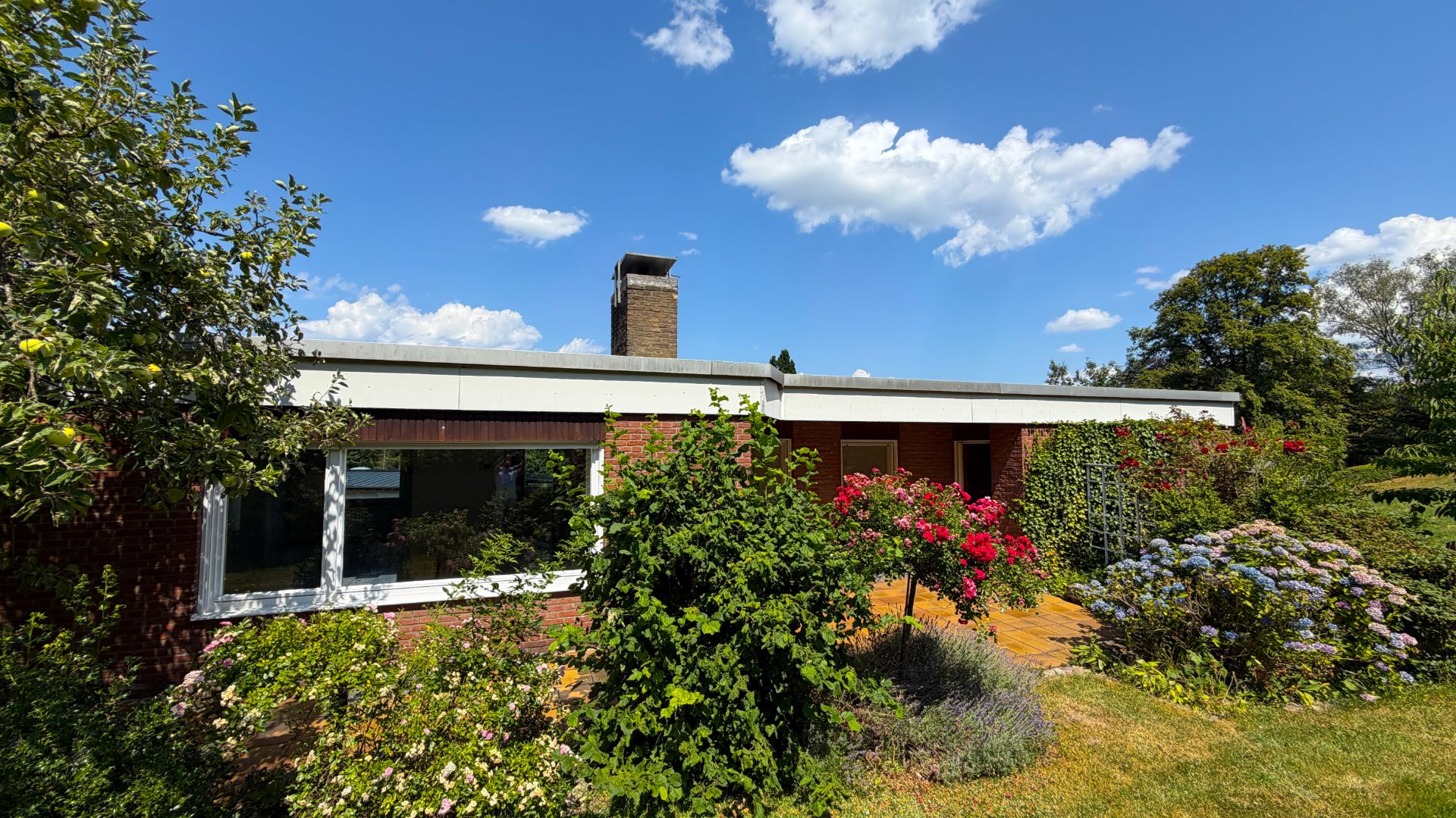 Flaches Wohnhaus mit großem Fenster und Garten voller bunter Blumen und Sträucher an einem sonnigen Tag.