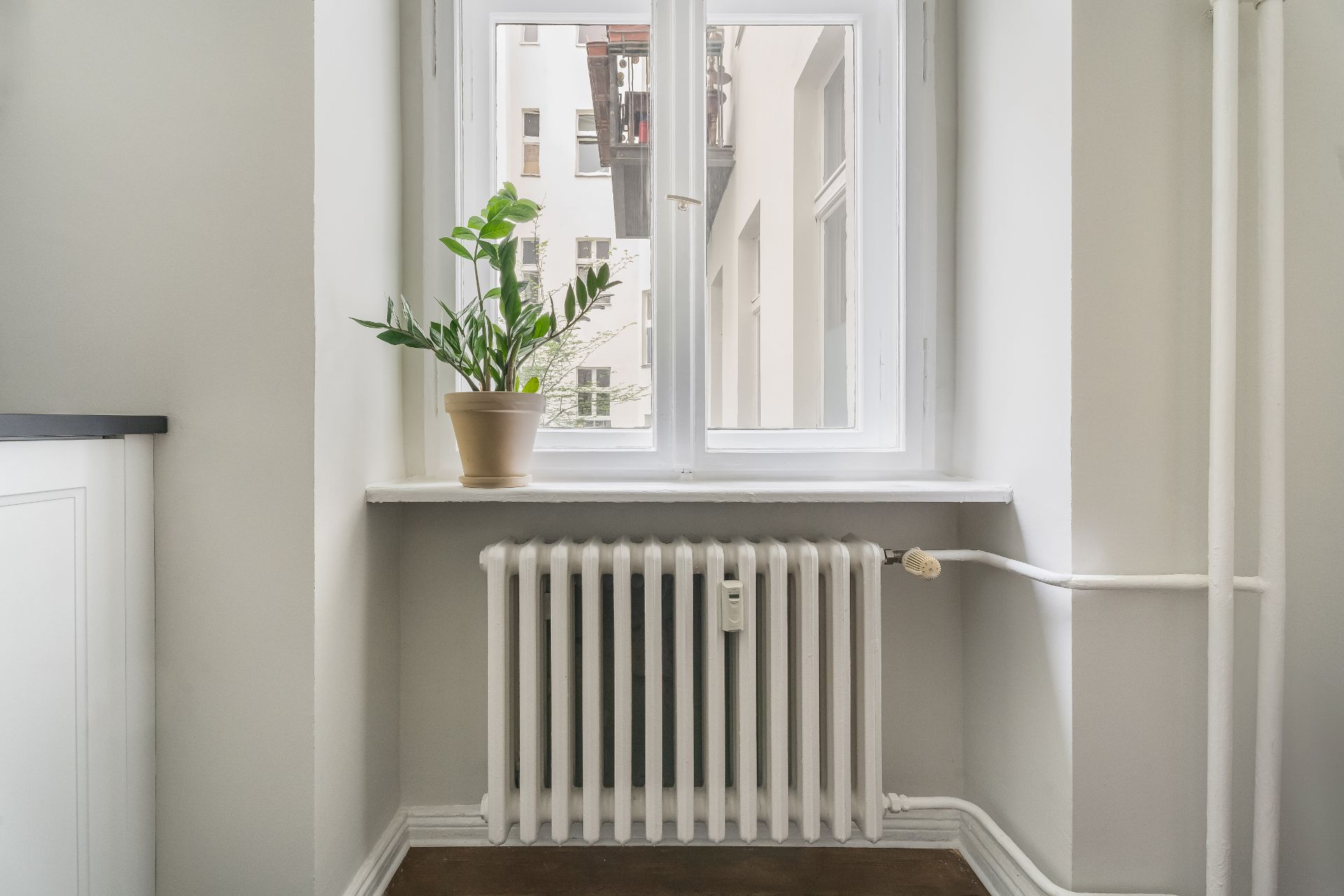 Ein Fenster mit weißem Heizkörper darunter und einer Topfpflanze auf der Fensterbank.