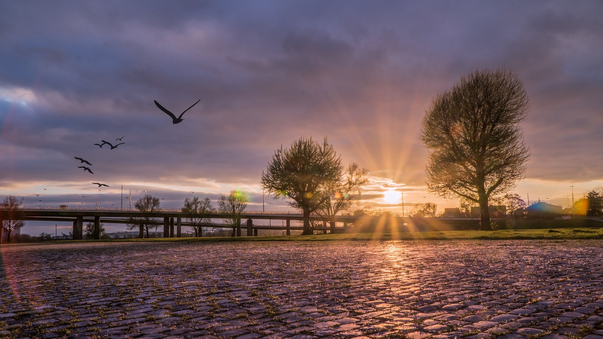Sonnenuntergang über einer Pflasterstraße mit Bäumen, Brücke und fliegenden Vögeln.