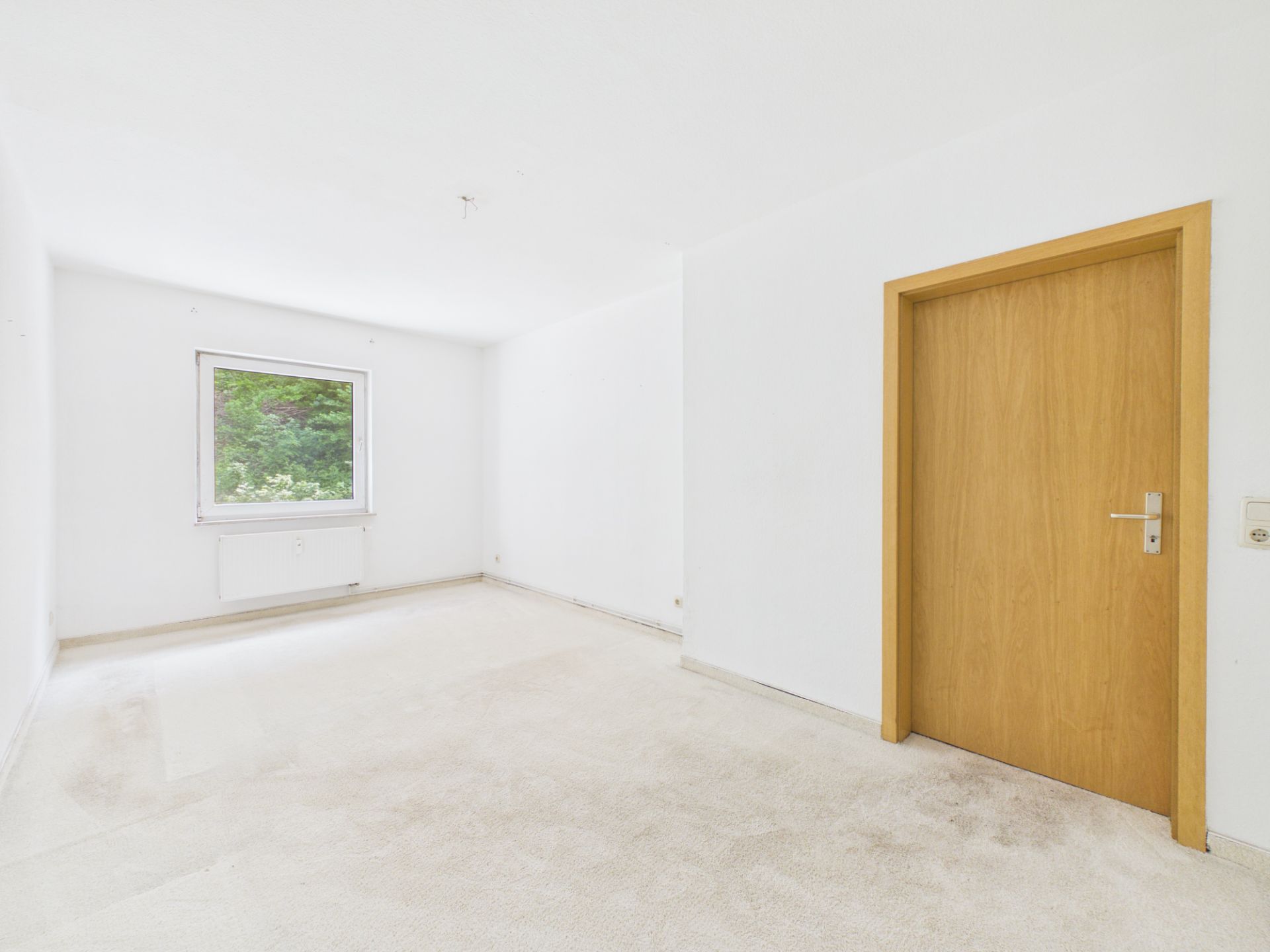 Leerer, heller Raum mit weißem Teppich, weißer Wand, Holztür und Fenster mit Blick auf Bäume.