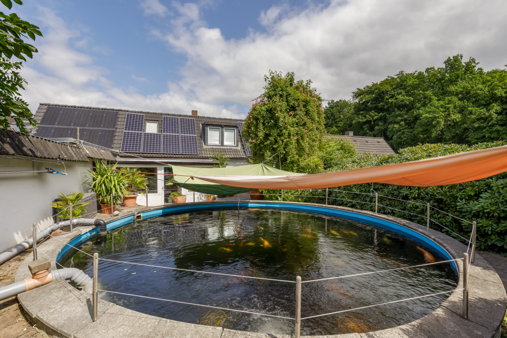 Runder Gartenteich mit Koi-Fischen, Sonnensegel und Solarpanels auf dem Hausdach im Hintergrund.