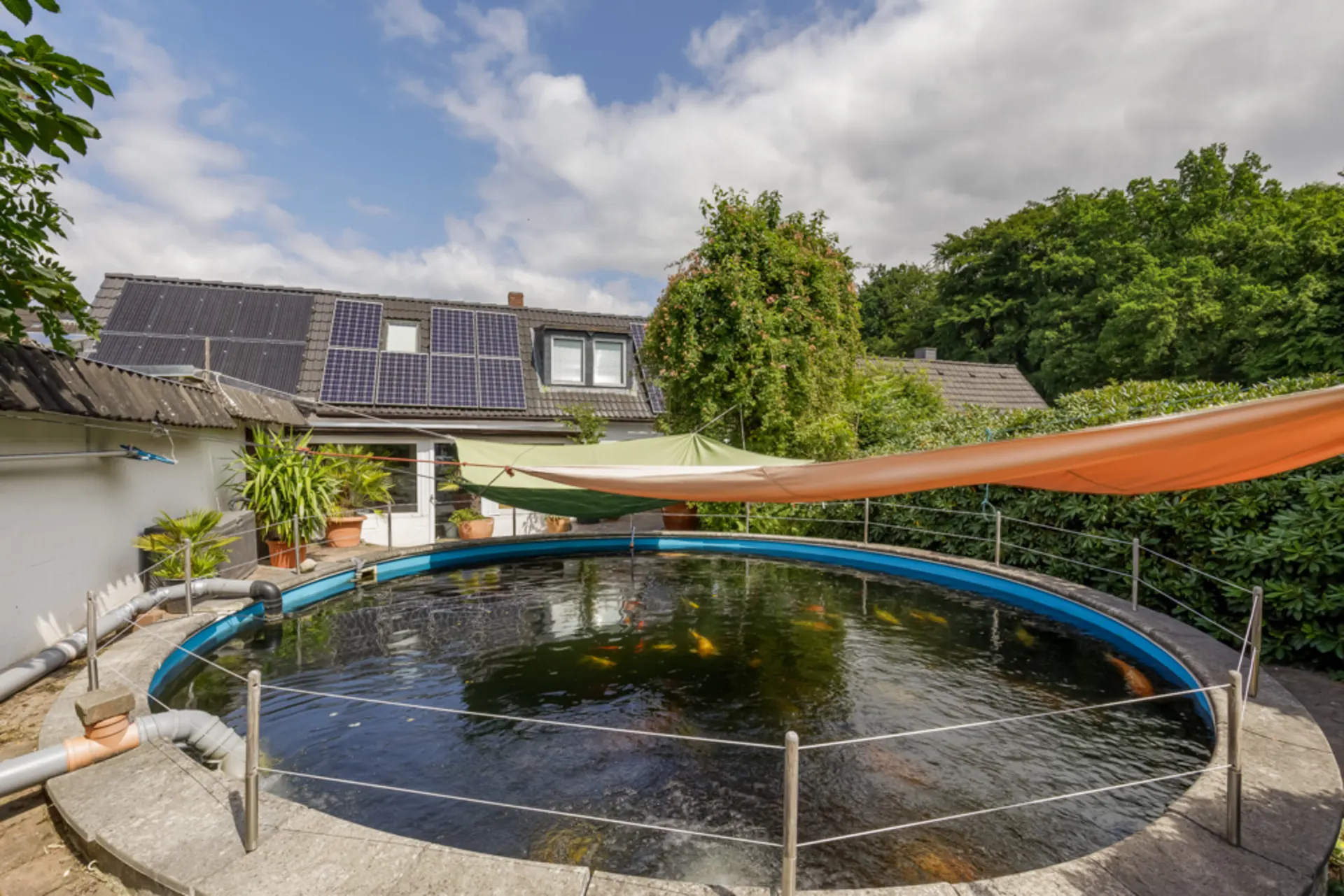 Runder Gartenteich mit Koi-Fischen, Sonnensegel und Solarpanels auf dem Hausdach im Hintergrund.