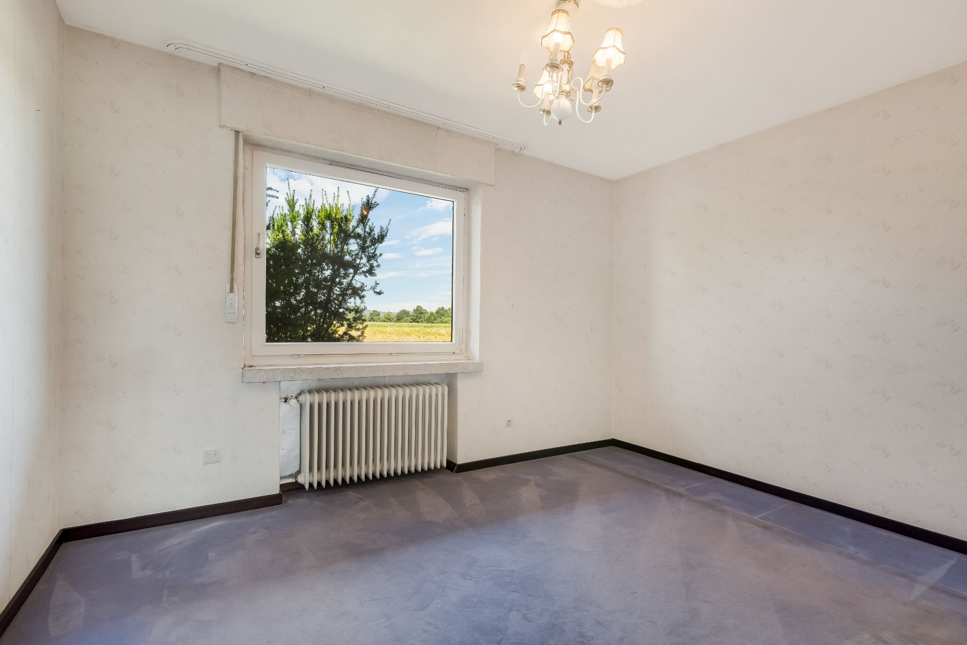 Leeres Zimmer mit großem Fenster, Blick ins Grüne, Heizkörper und Deckenleuchte.