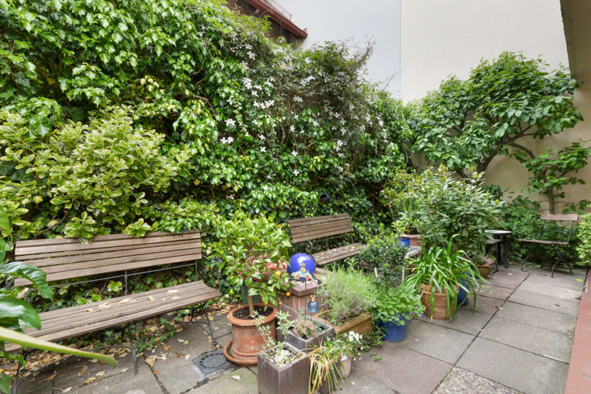 Kleiner Garten mit Holzbänken, vielen grünen Pflanzen und Blumenkübeln auf Steinplatten.