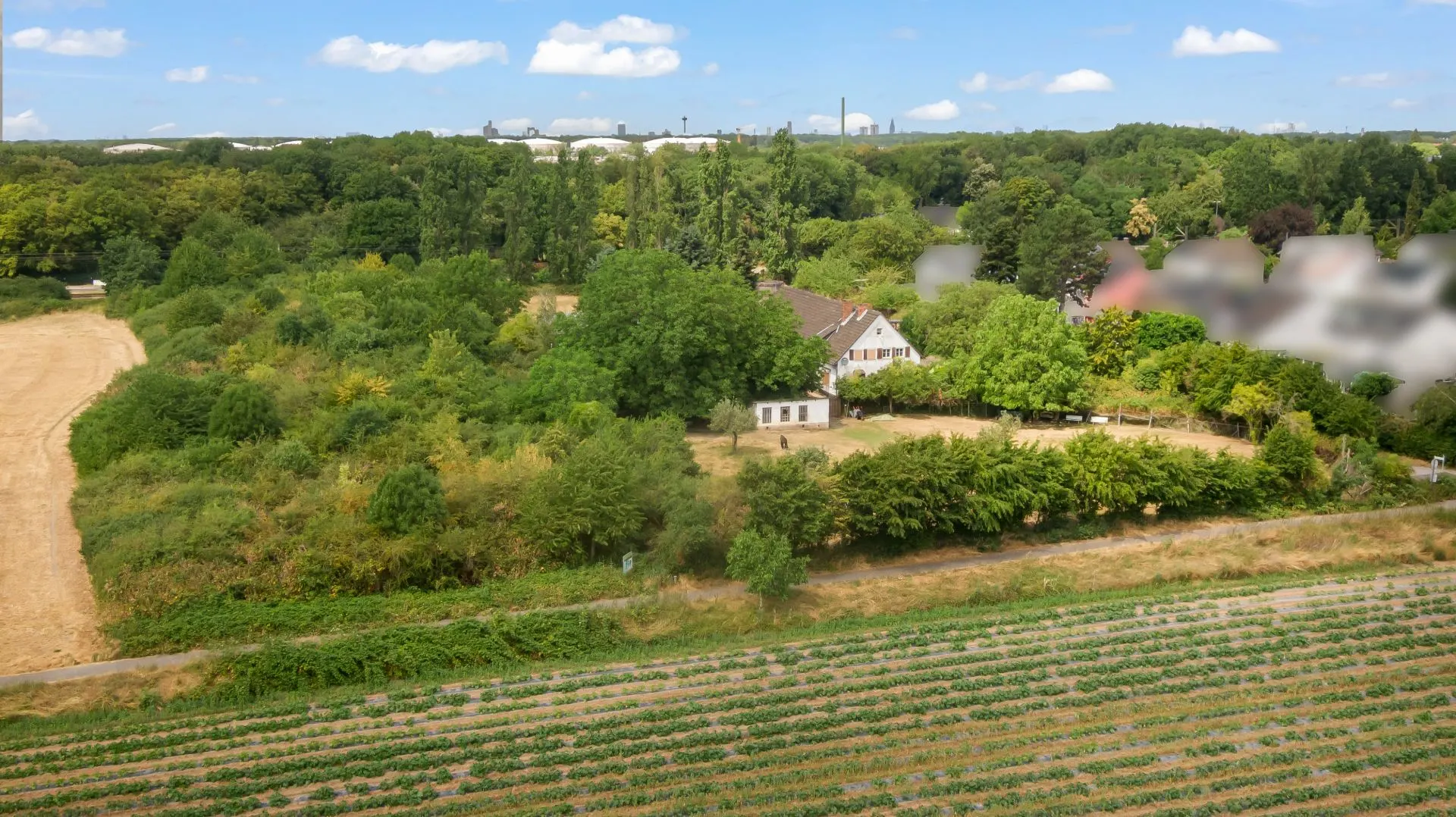 Luftaufnahme von einem Haus mit großem Garten, umgeben von Bäumen und Feldern.