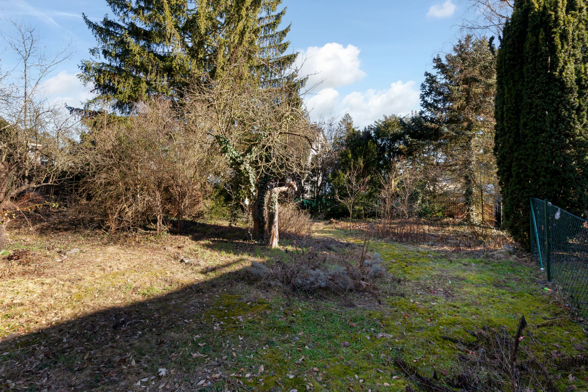 Garten mit Gras, Bäumen, Sträuchern und einem Zaun rechts im Bild.