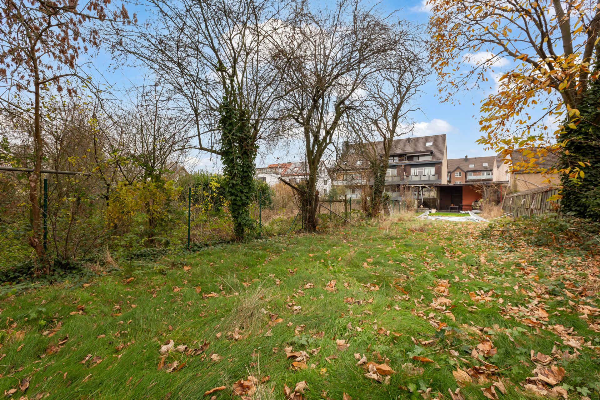Grüner Garten mit Bäumen und Laub, im Hintergrund Wohnhäuser.