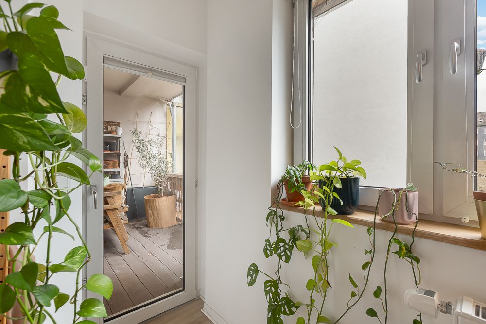 Helle Ecke mit Zimmer- und Topfpflanzen neben Fenster und Glastür zu einem Balkon.
