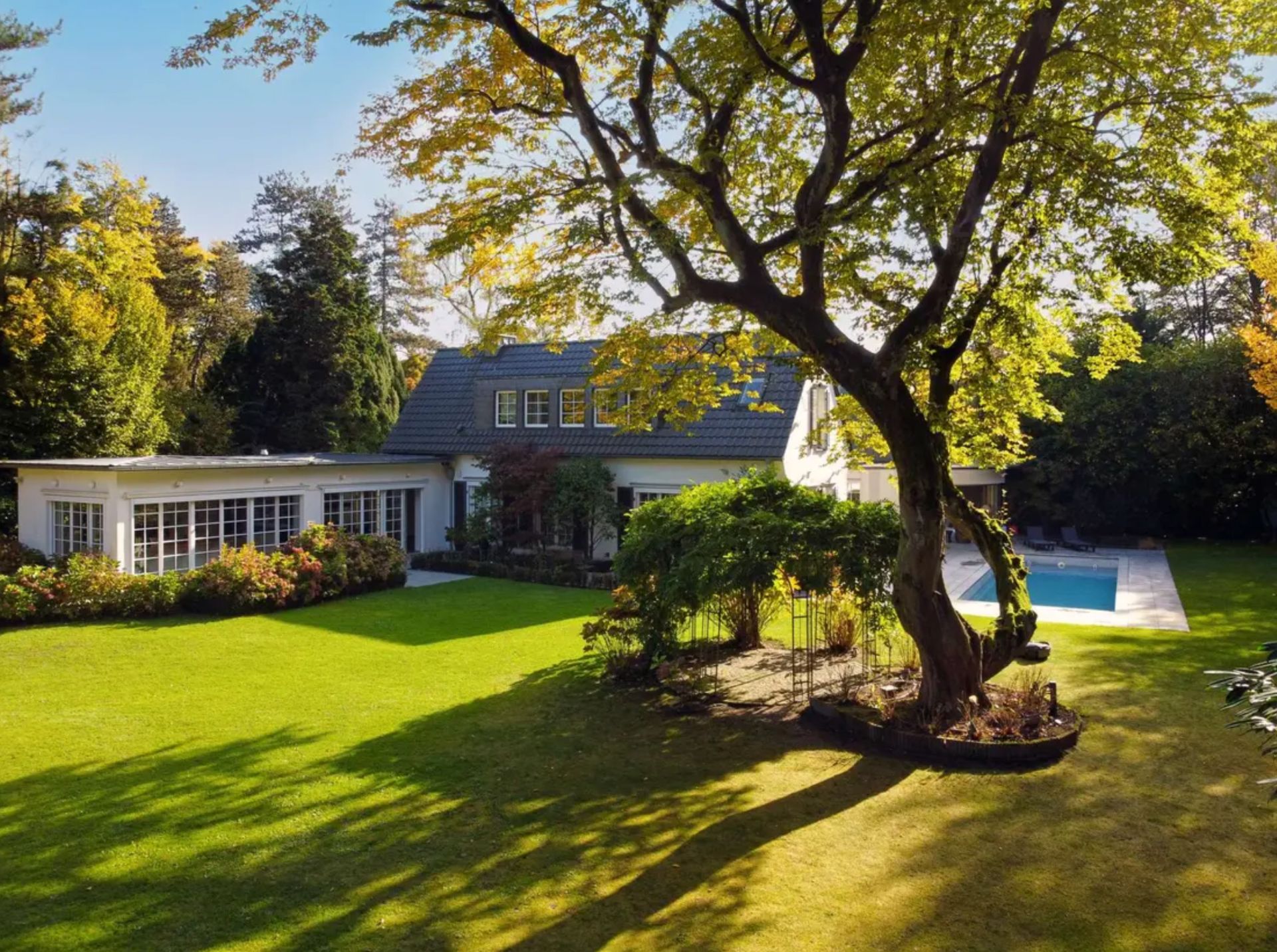 Großer Garten mit Baum, Rasen, Haus im Hintergrund und Pool auf der rechten Seite.