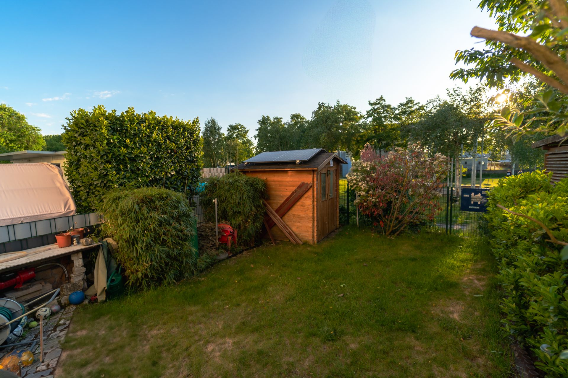 Kleiner Garten mit Rasenfläche, Holzschuppen und umgebenen Büschen.