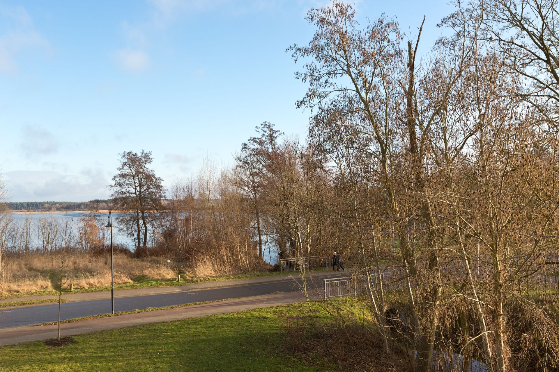 Blick auf eine Straße mit Bäumen, Wiese und See im Hintergrund bei klarem Himmel.