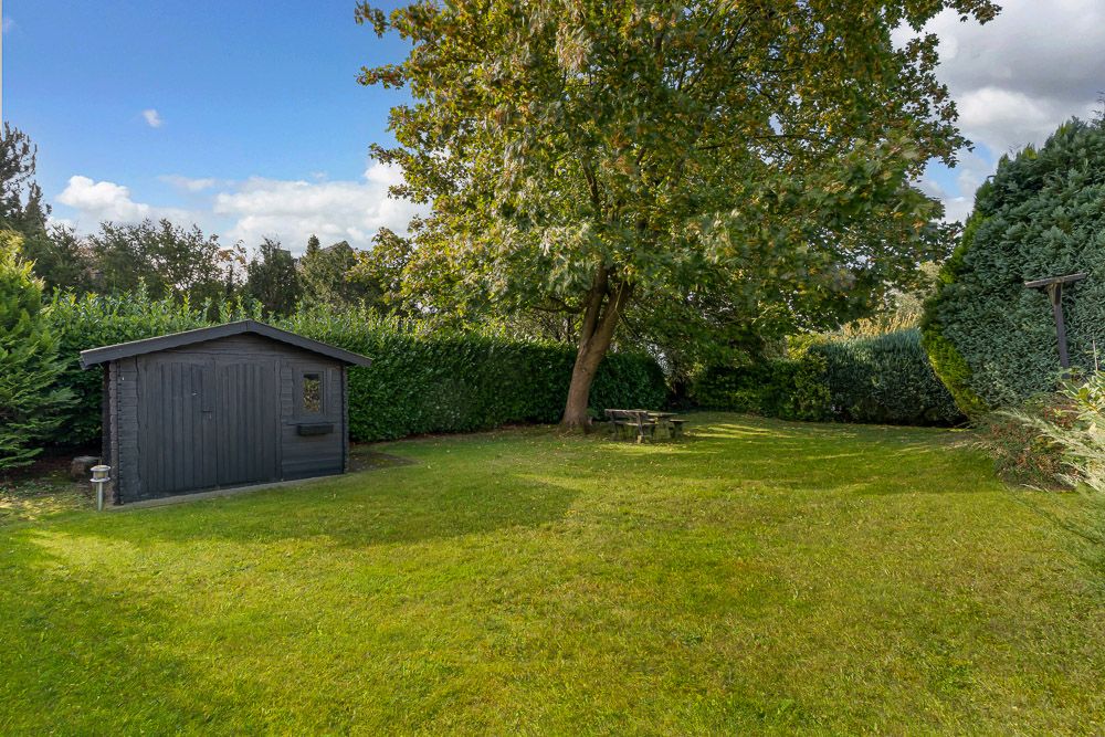 Garten mit grünem Rasen, großem Baum, Holzhaus und Sitzbank unter dem Baum.