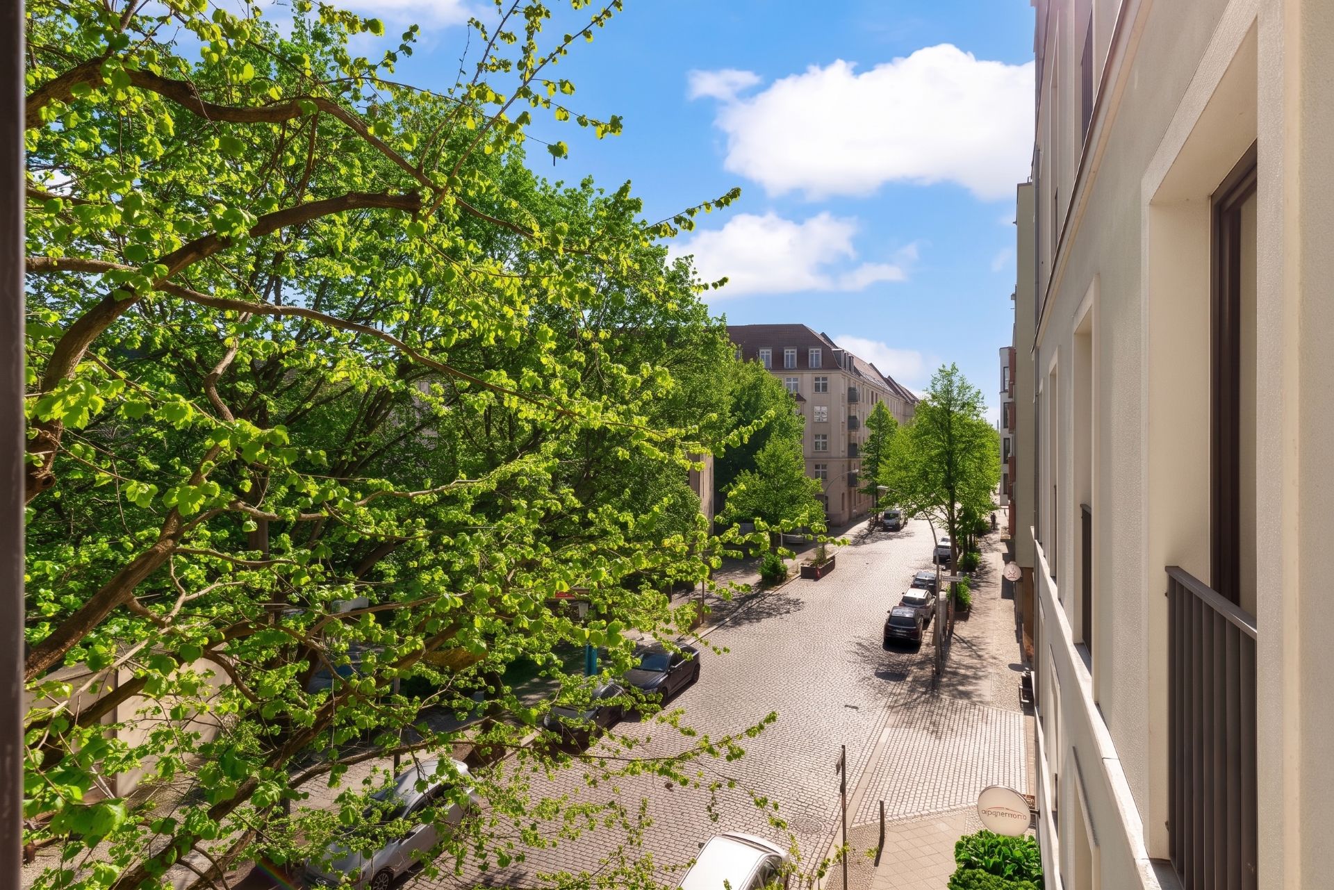 Blick von einem Balkon auf eine ruhige, baumbestandene Wohnstraße mit parkenden Autos.