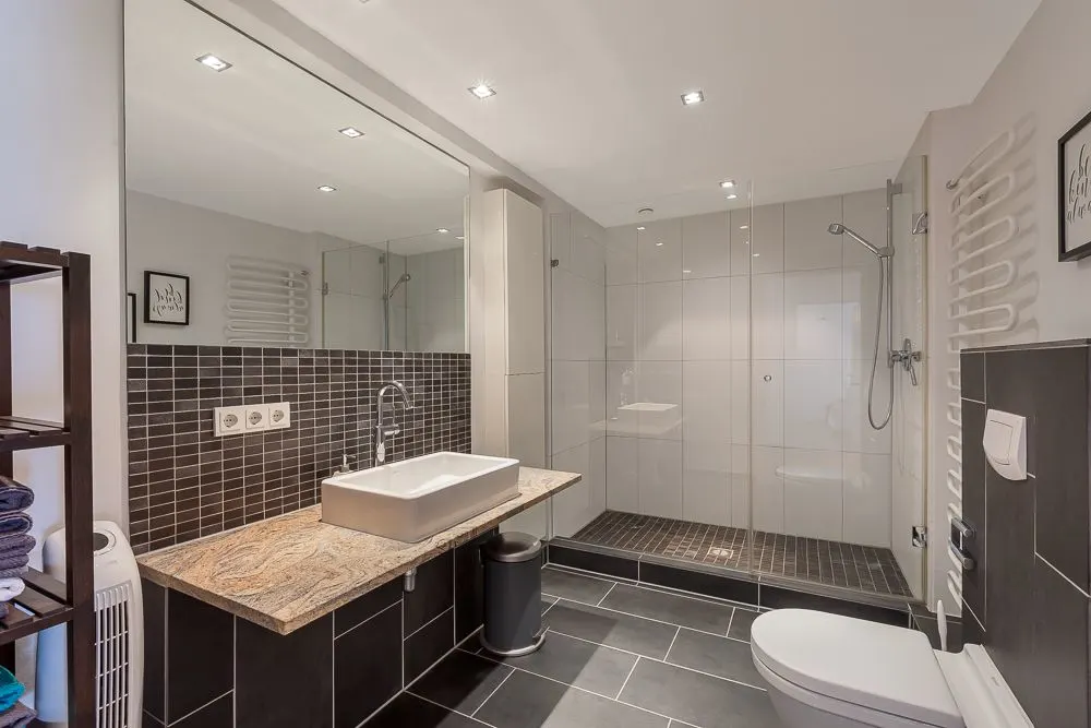 Modernes Badezimmer mit begehbarer Dusche, Waschbecken und Toilette.