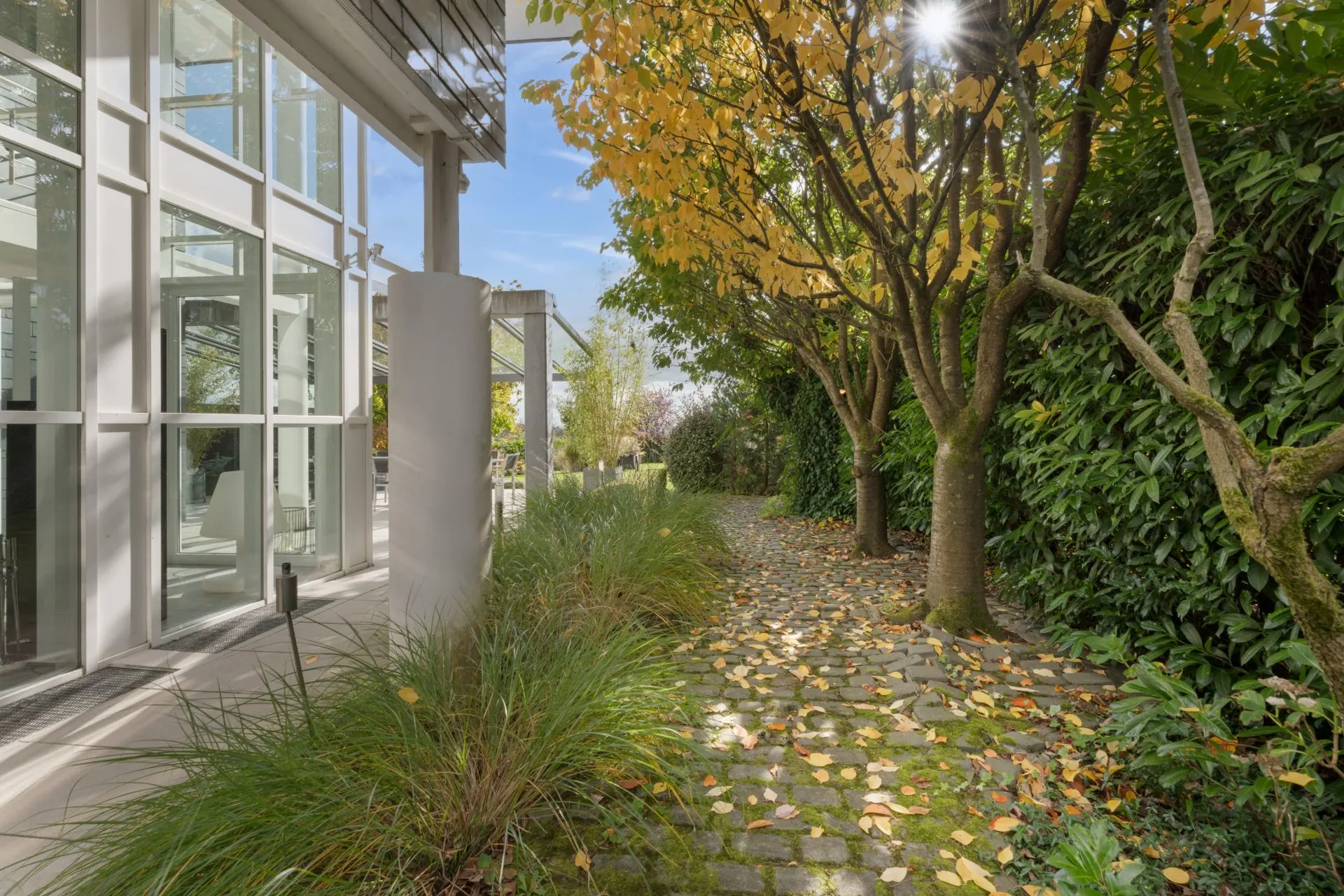 Gartenweg mit Bäumen und Pflastersteinen neben einem modernen verglasten Wohngebäude.
