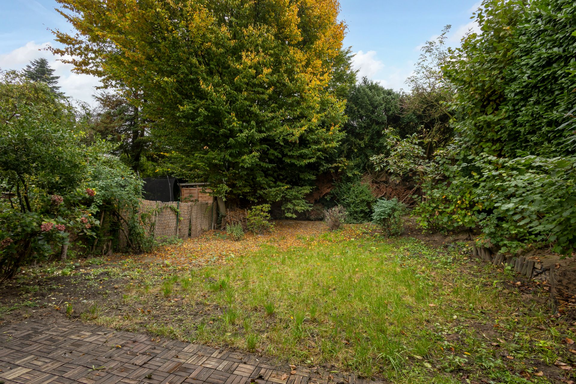 Garten mit Rasenfläche, umgeben von Bäumen und Hecken, mit gepflastertem Bereich im Vordergrund.