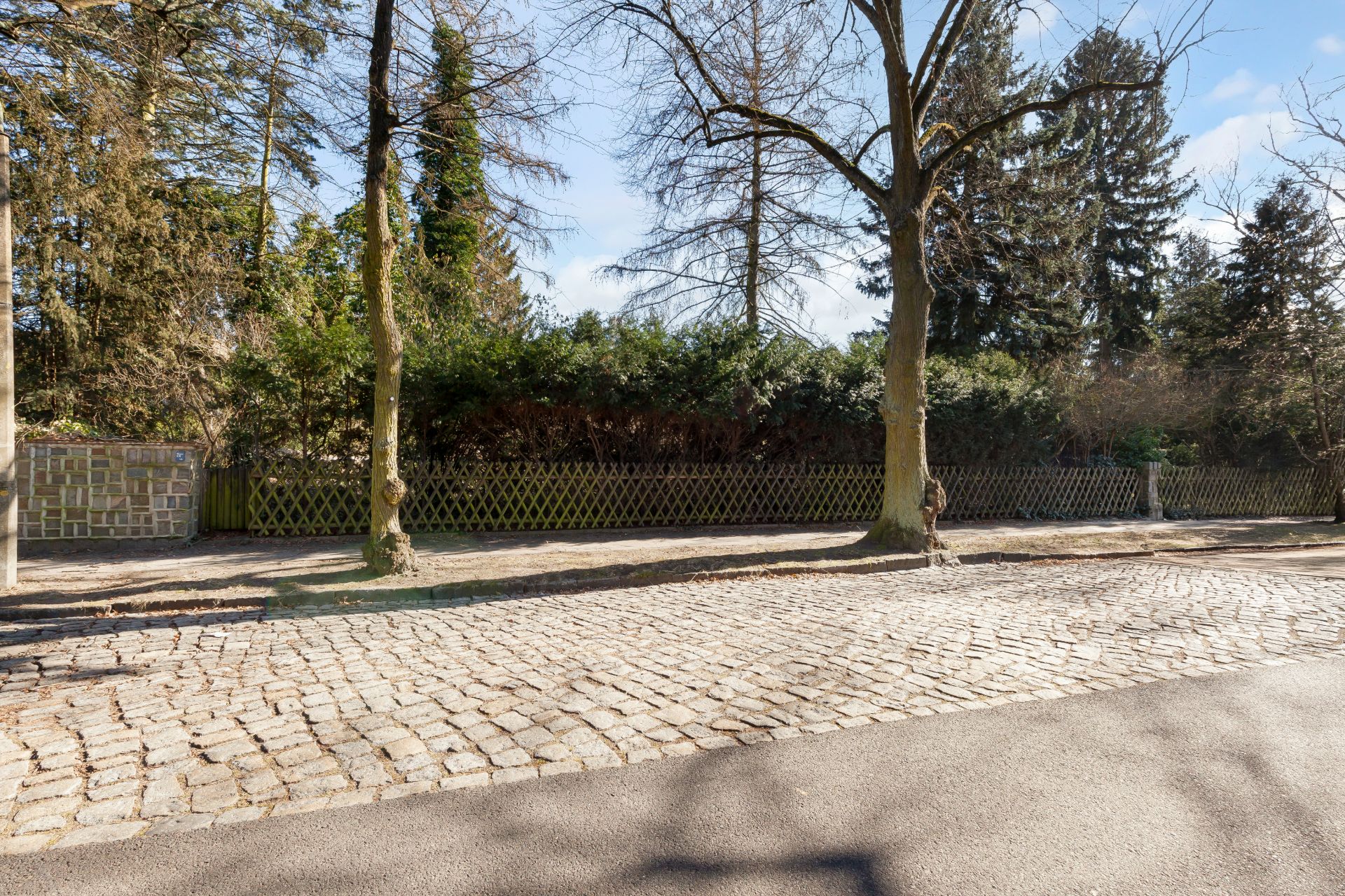 Gepflasterte Straße mit Bäumen und Holzzaun vor einer Hecke.