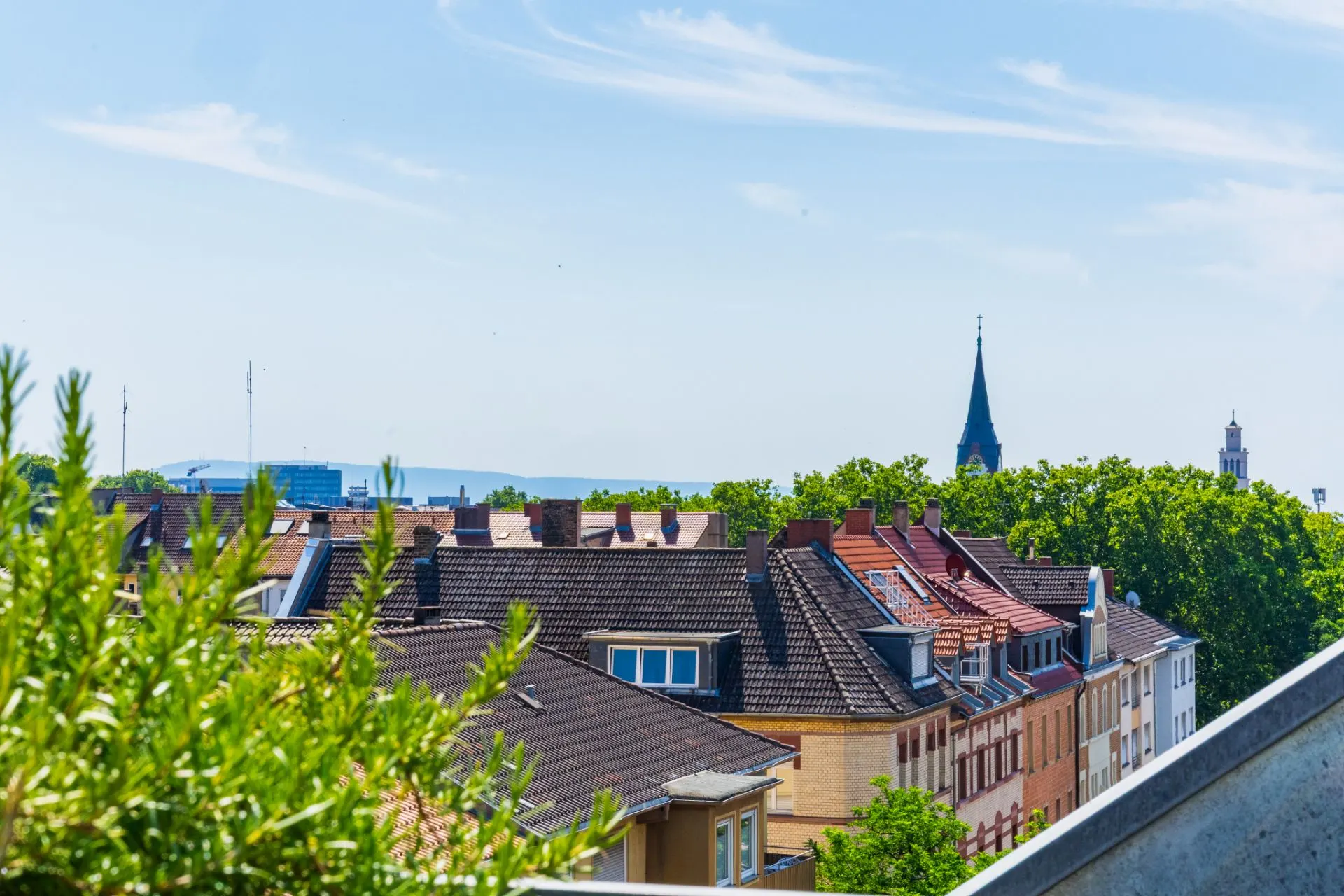 Blick auf Hausdächer und grüne Bäume bei klarem Himmel, vorne Pflanzen.