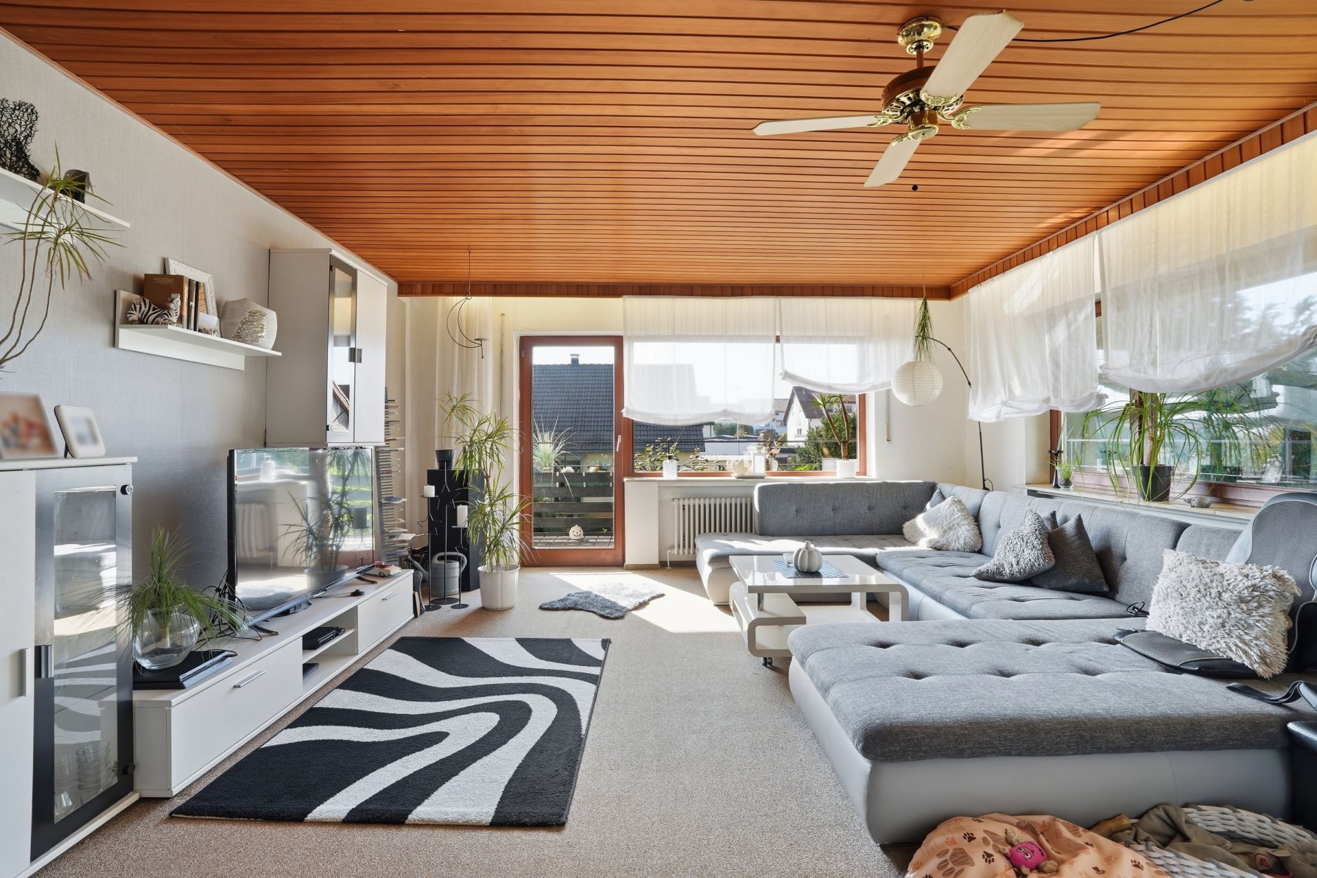 Helles Wohnzimmer mit großer grauer Eckcouch, TV, Teppich und vielen Fenstern mit Vorhängen.