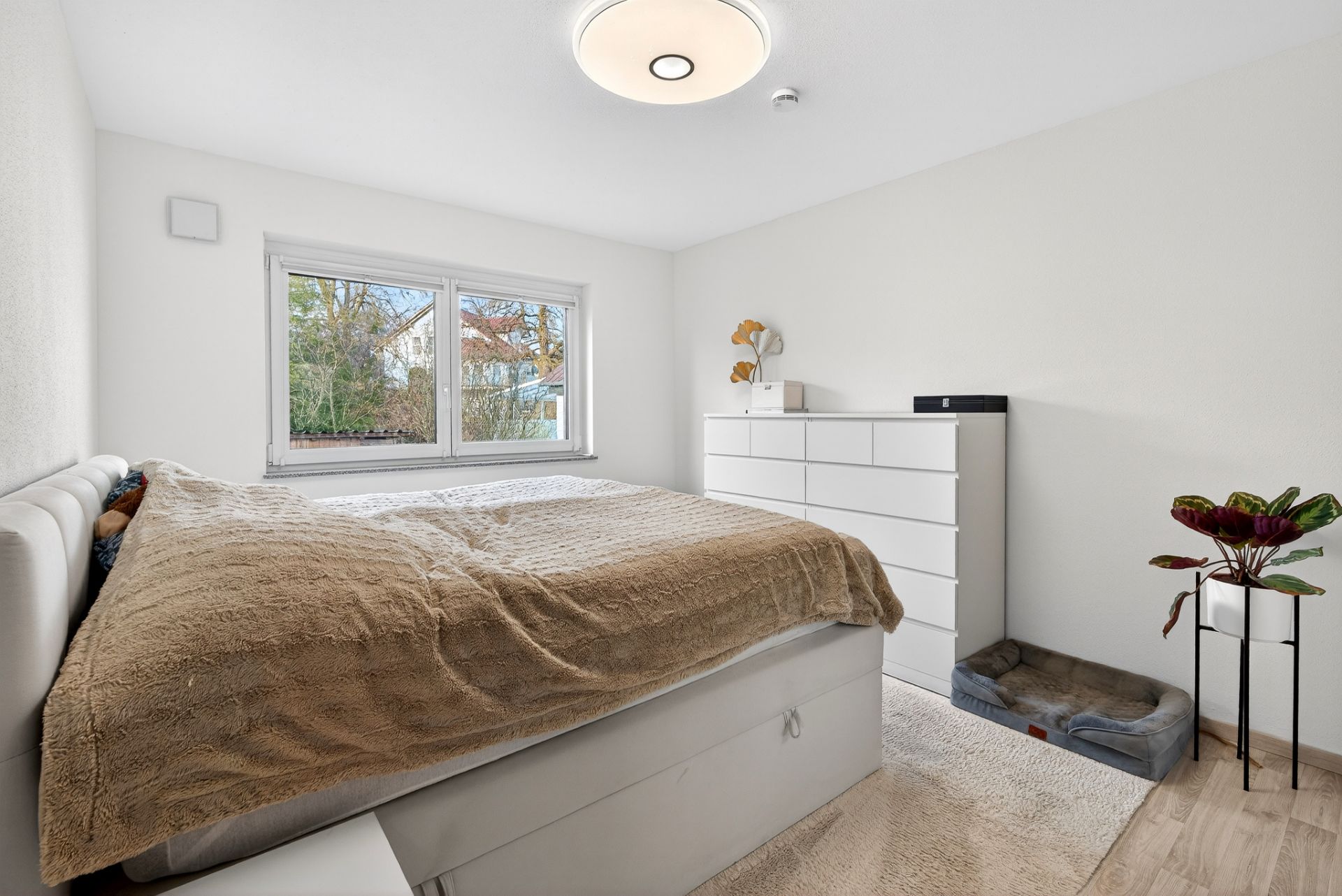 Modernes Schlafzimmer mit Doppelbett, Kommode, Hundebett und großer Fensterfront.